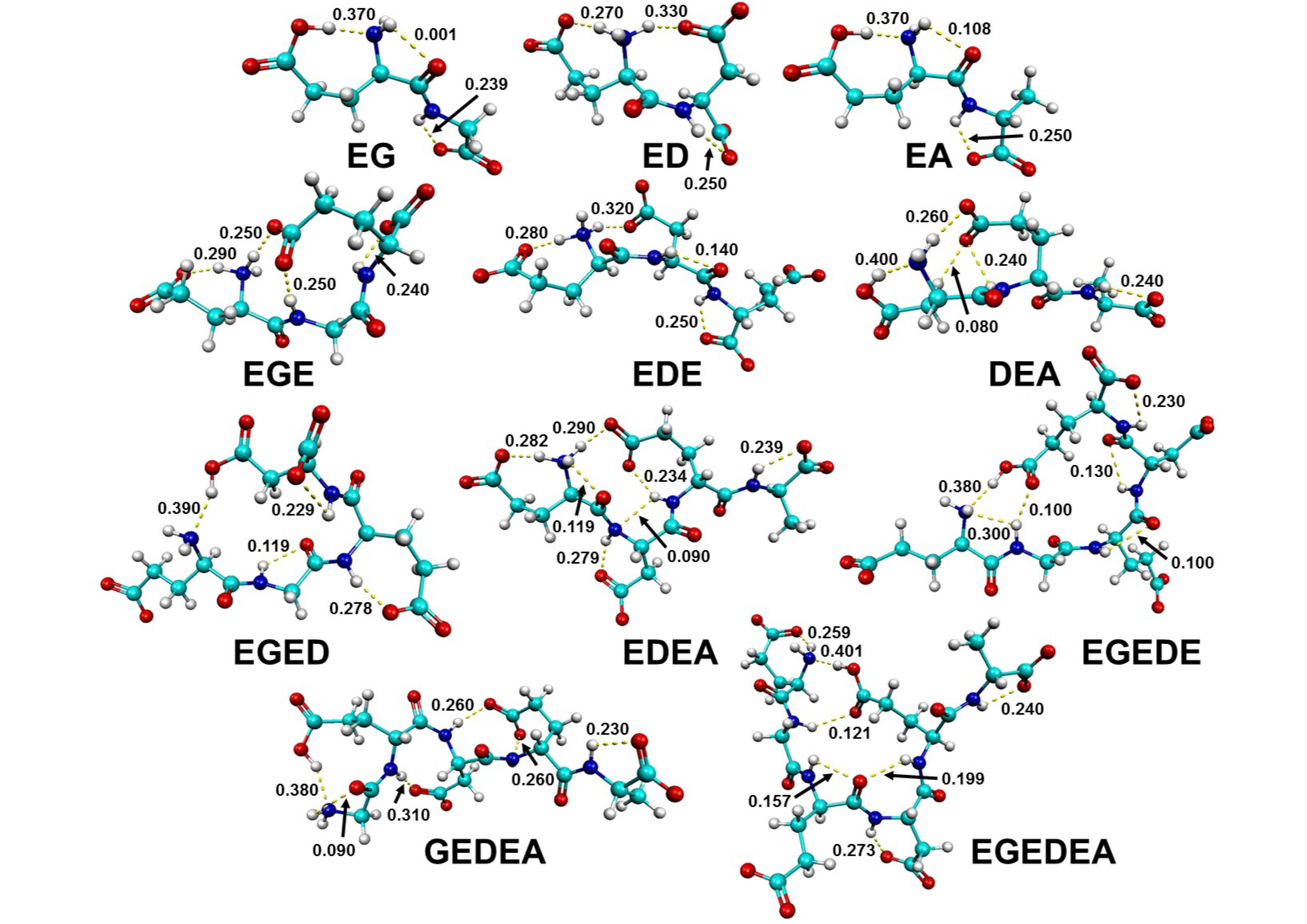 Molecules 26 04790 g001