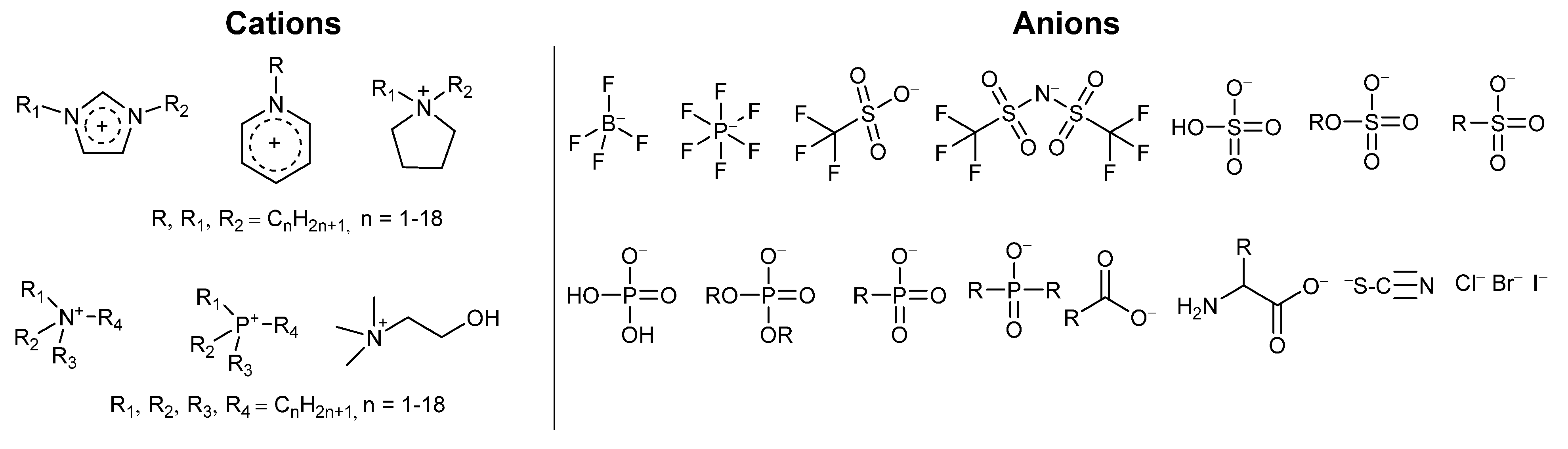 Molecules 26 04791 g001