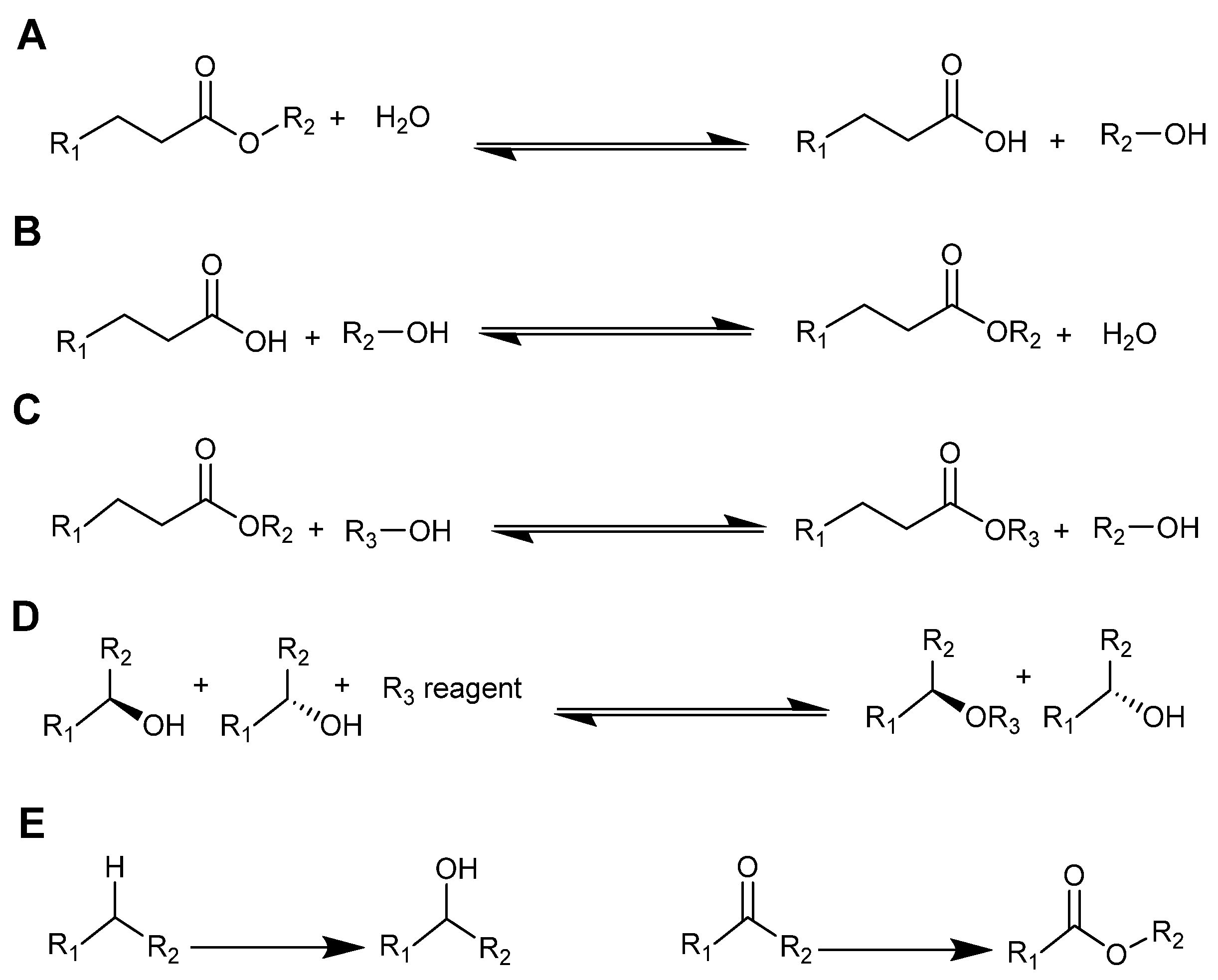 Molecules 26 04791 g002