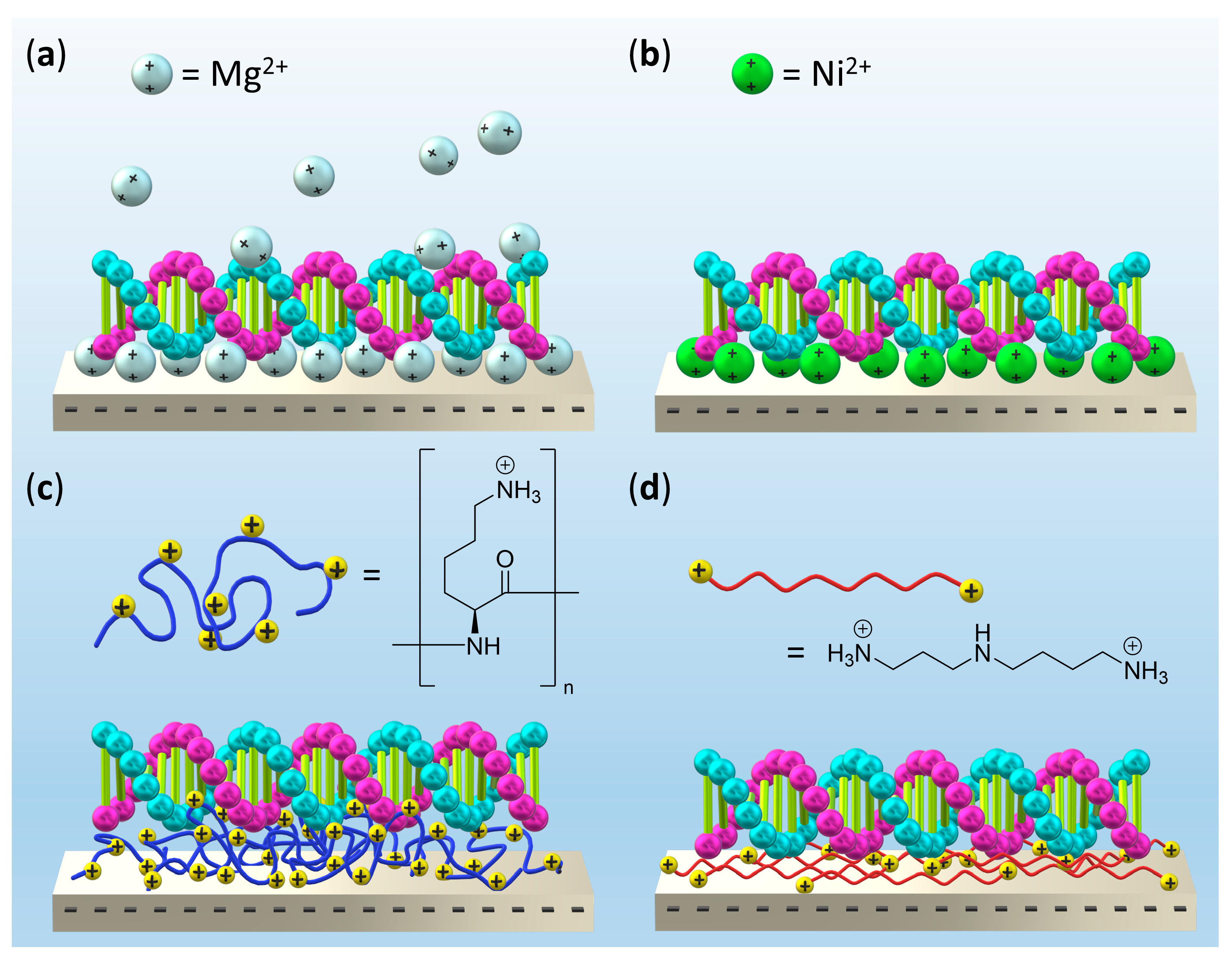 Molecules 26 04798 g001 Molecules 26 04798 g001
