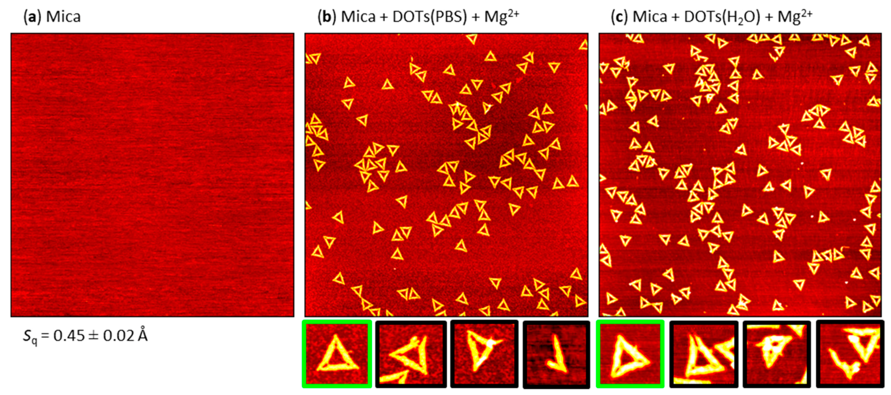 Molecules 26 04798 g002 Molecules 26 04798 g002