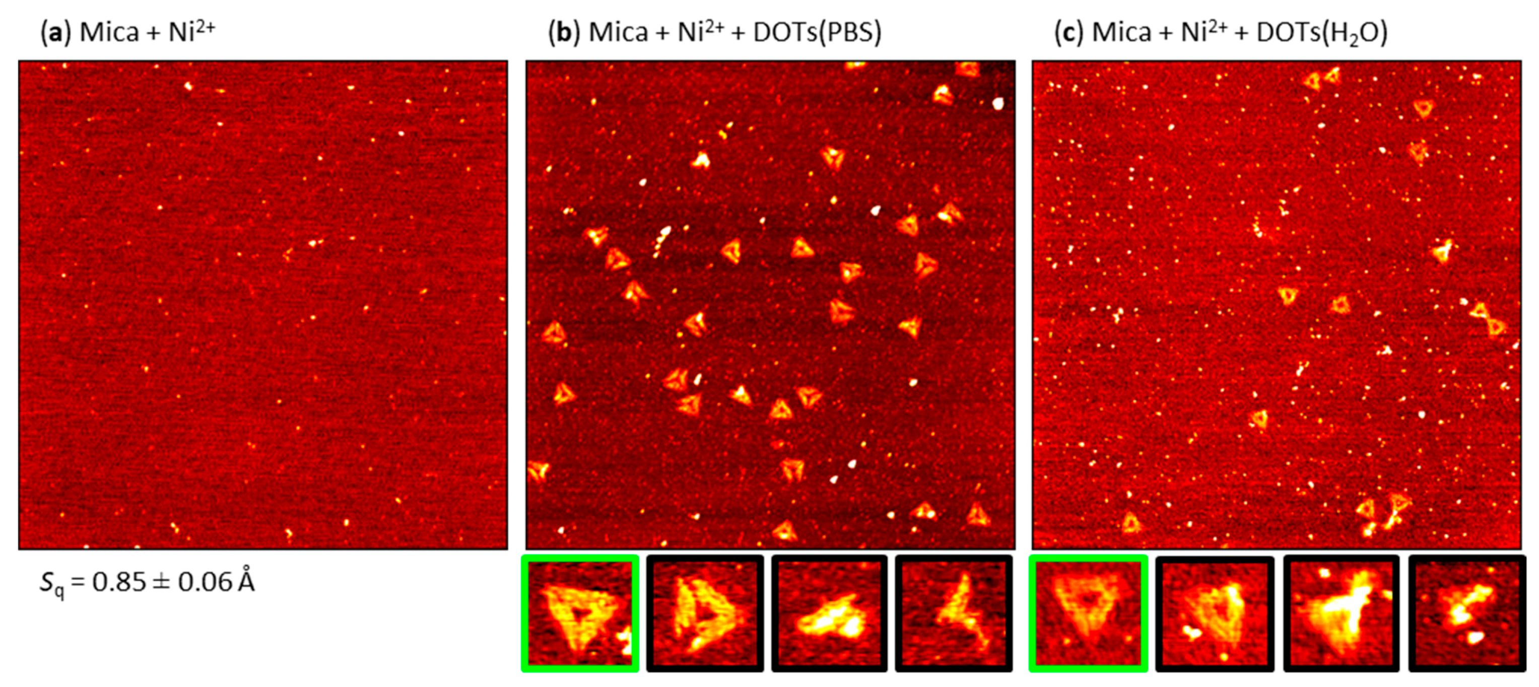 Molecules 26 04798 g003 Molecules 26 04798 g003