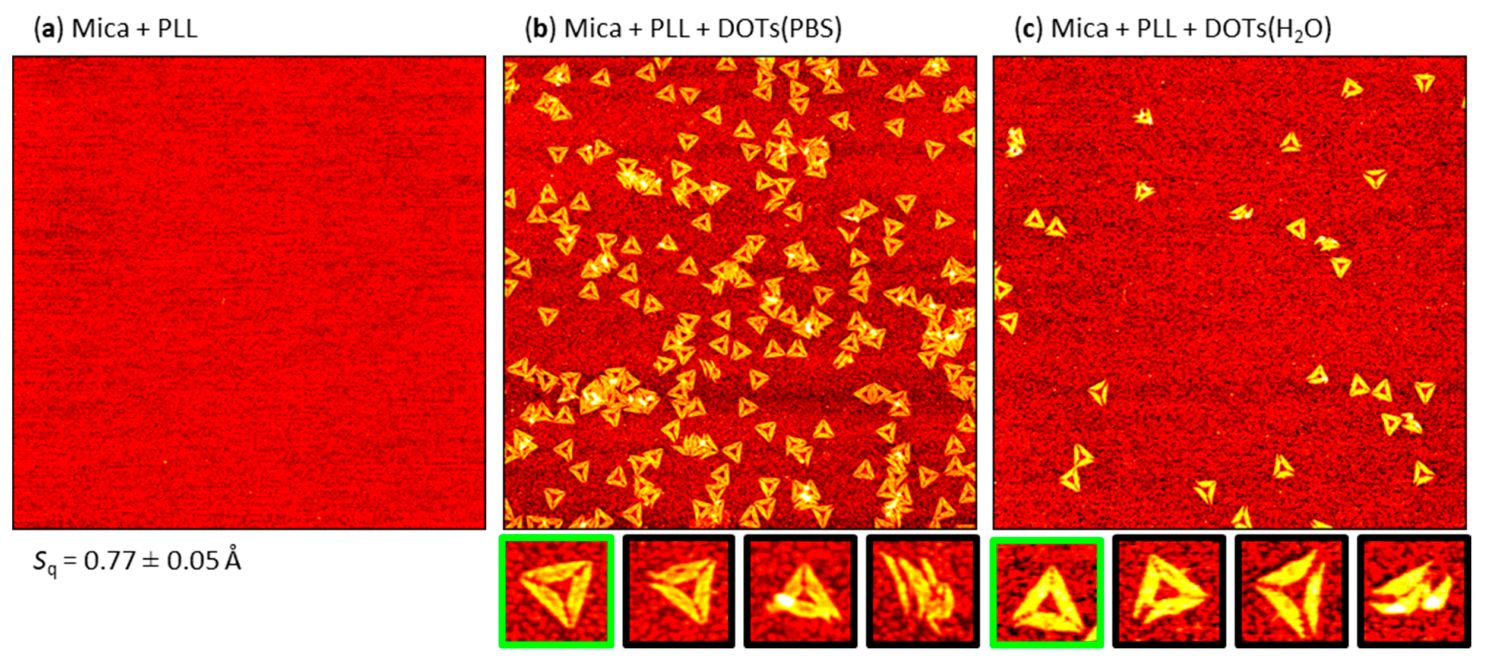 Molecules 26 04798 g005 Molecules 26 04798 g005