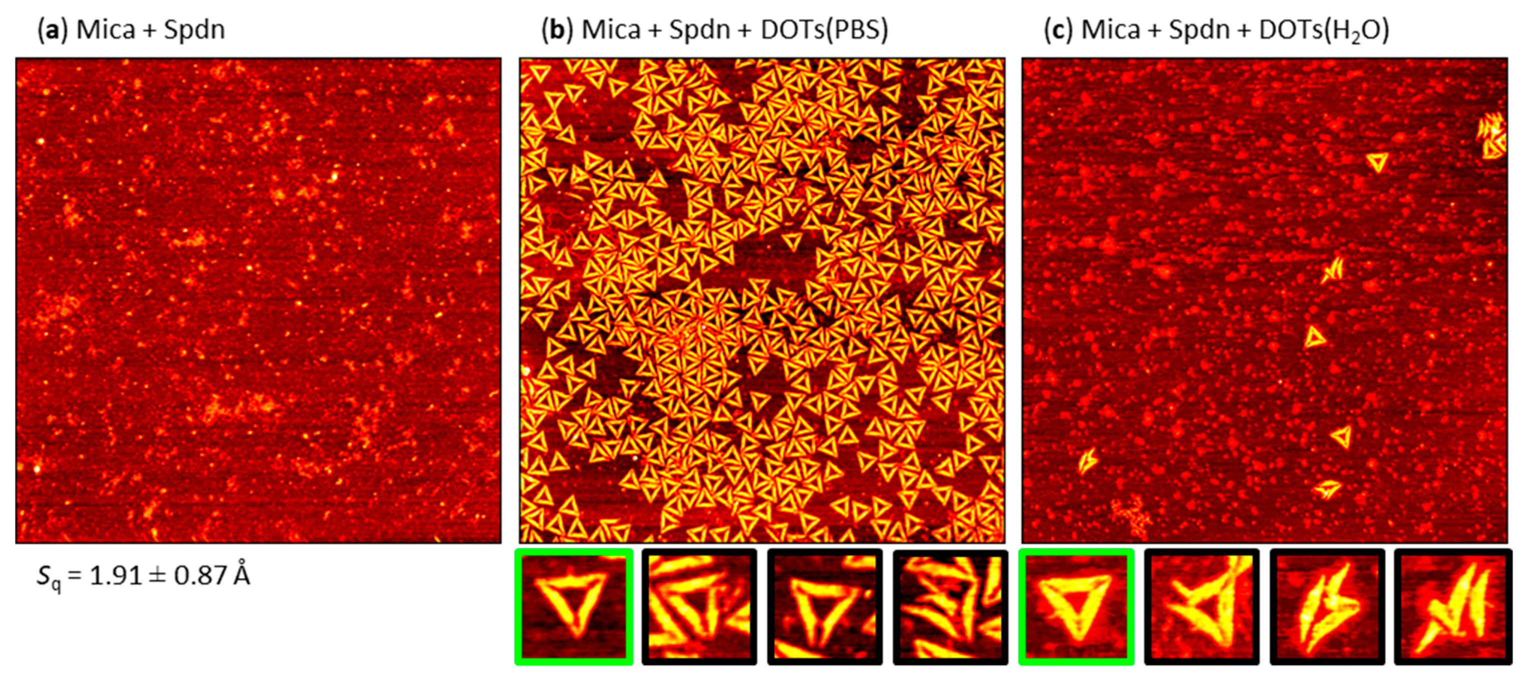 Molecules 26 04798 g006 Molecules 26 04798 g006