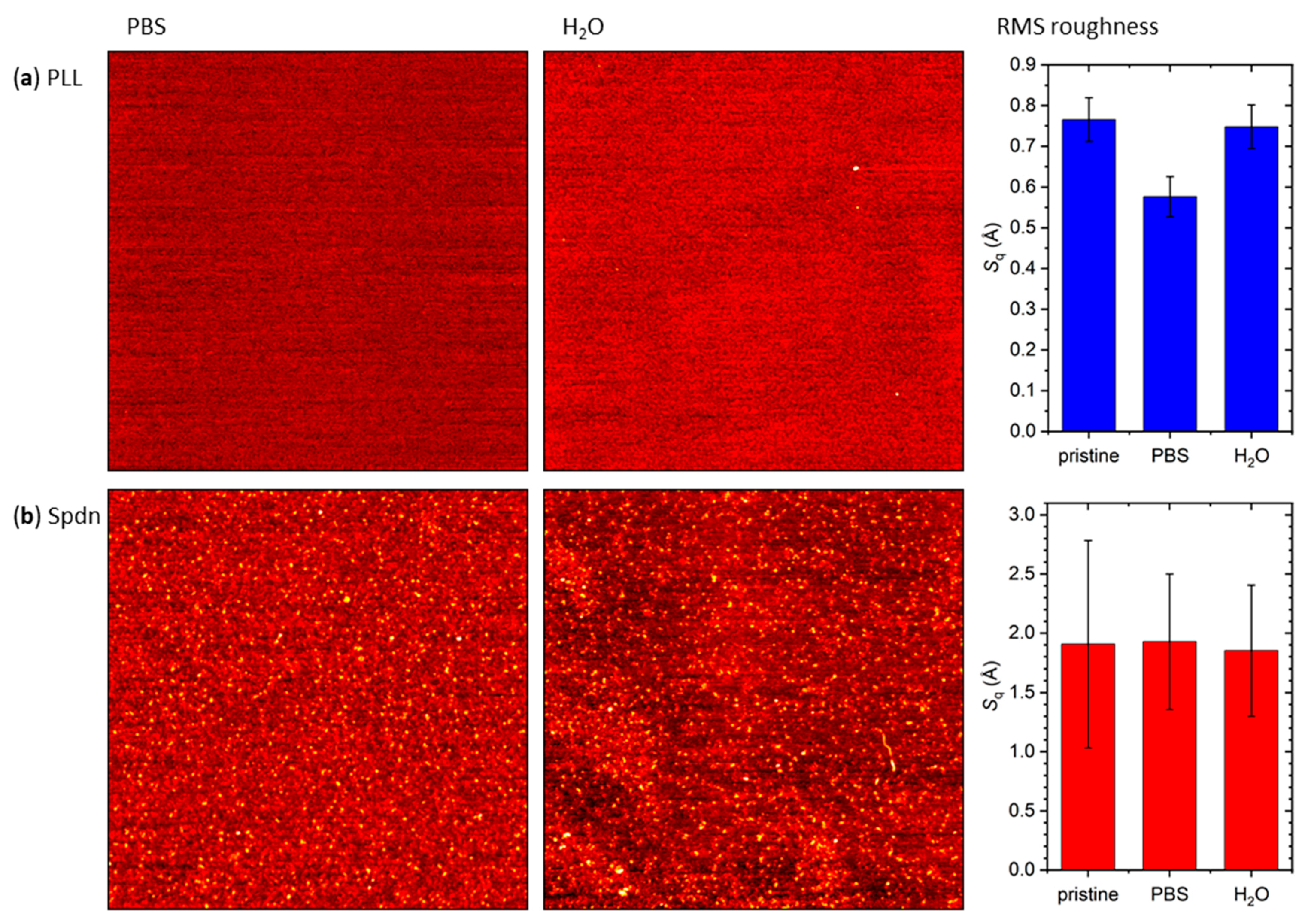 Molecules 26 04798 g007 Molecules 26 04798 g007