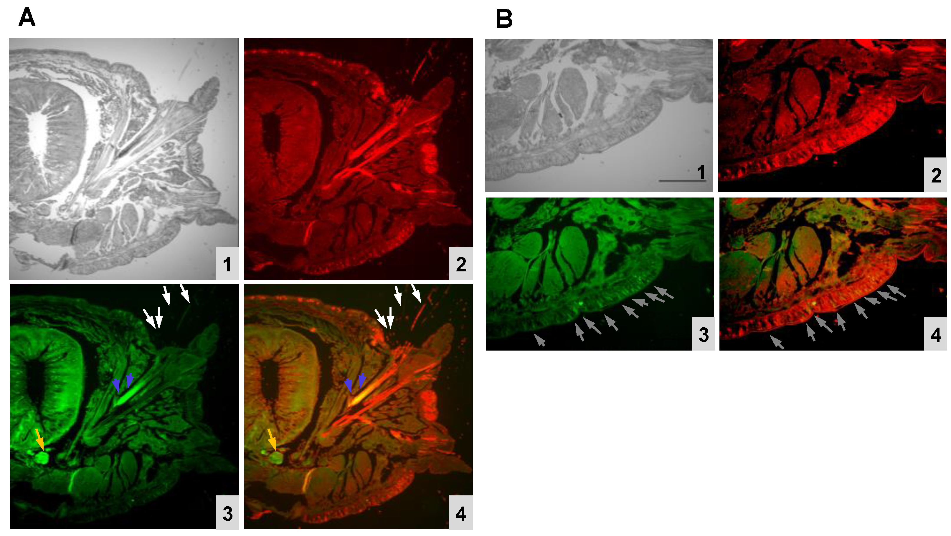 Molecules 26 04799 g003