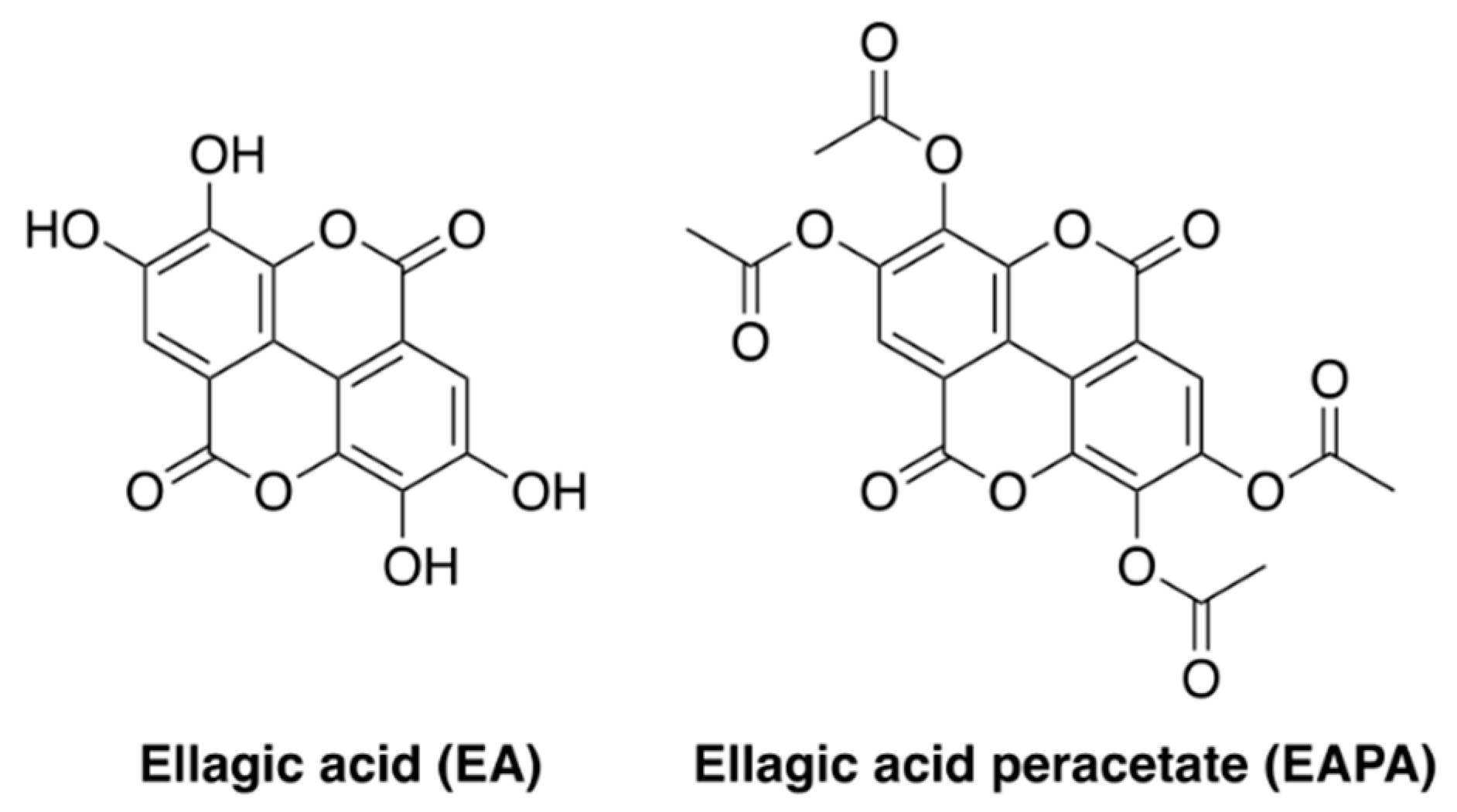 Molecules 26 04800 g001