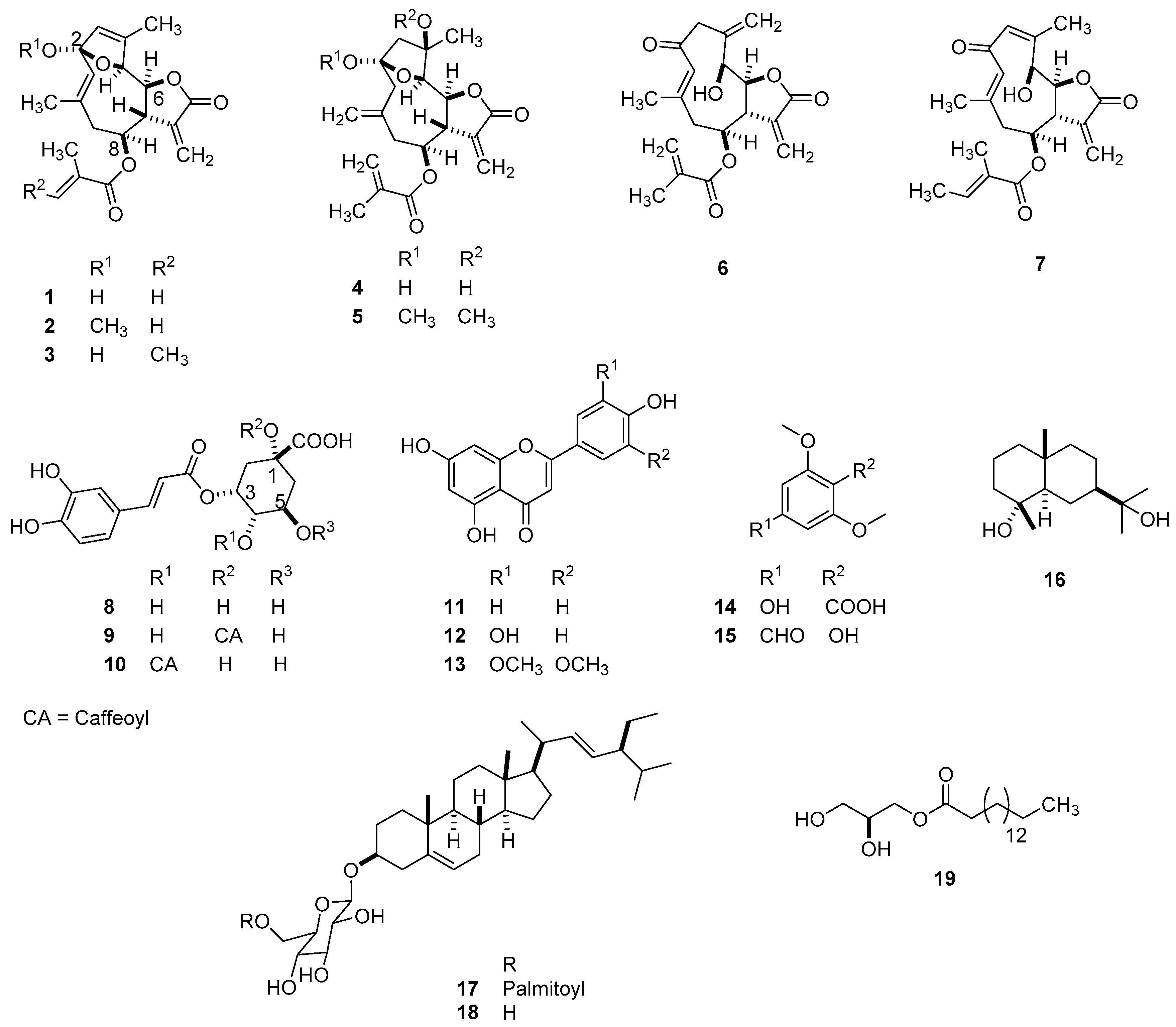Molecules 26 04810 g001 Molecules 26 04810 g001