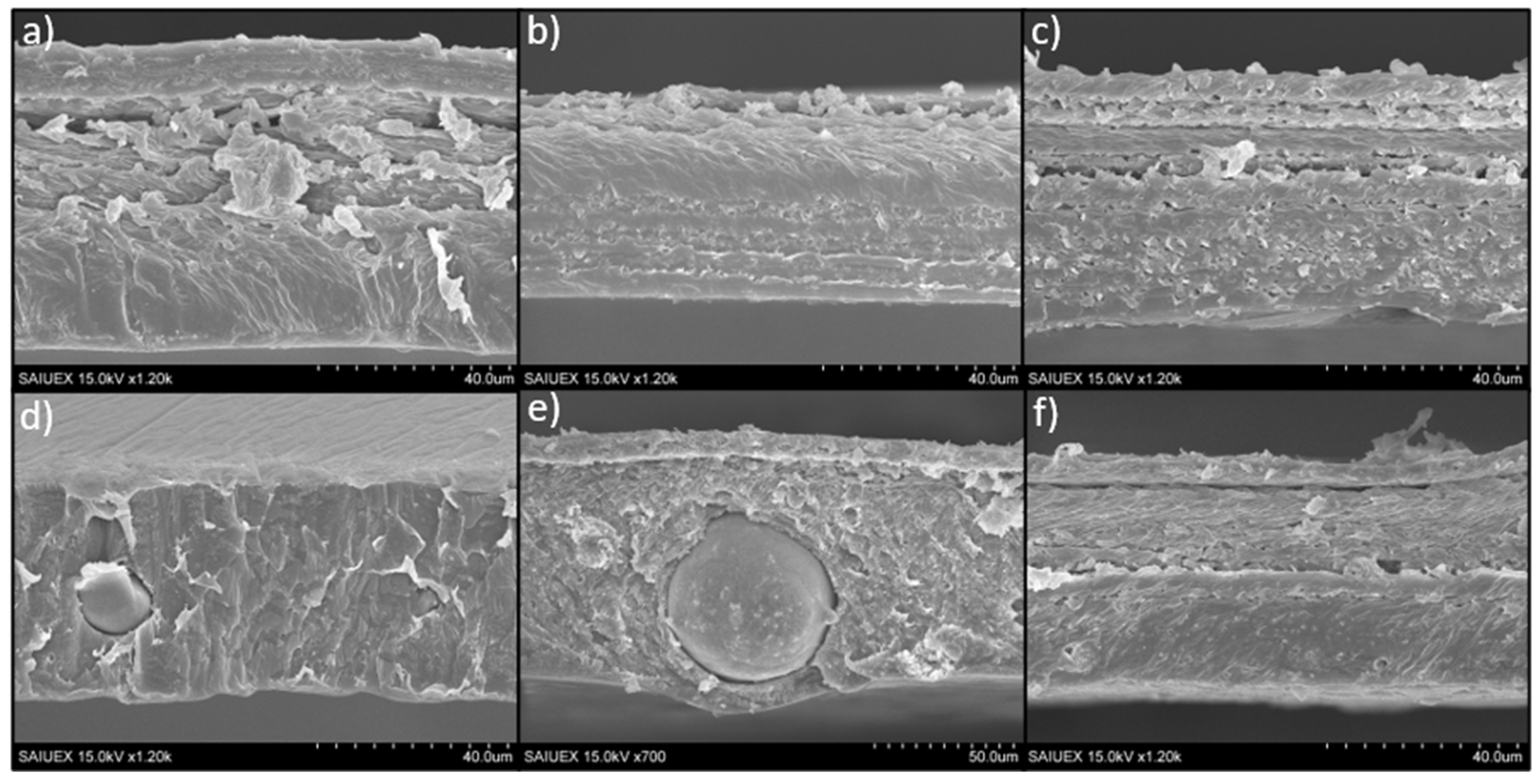 Molecules 26 04811 g004