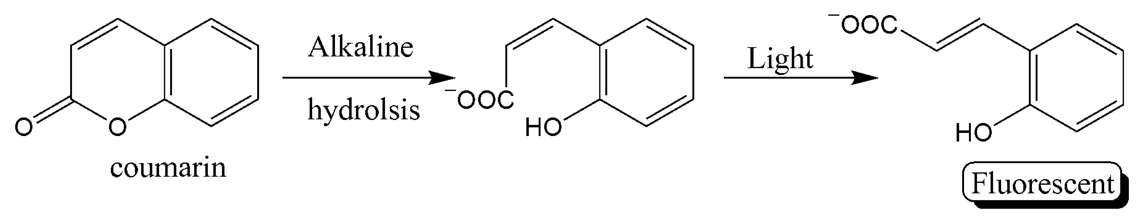 Molecules 26 04812 sch002