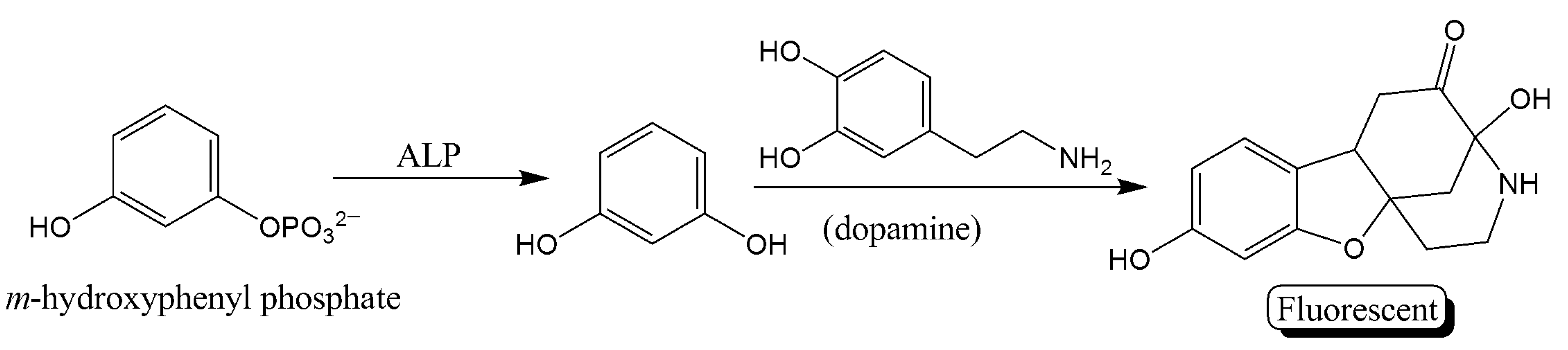 Molecules 26 04812 sch004