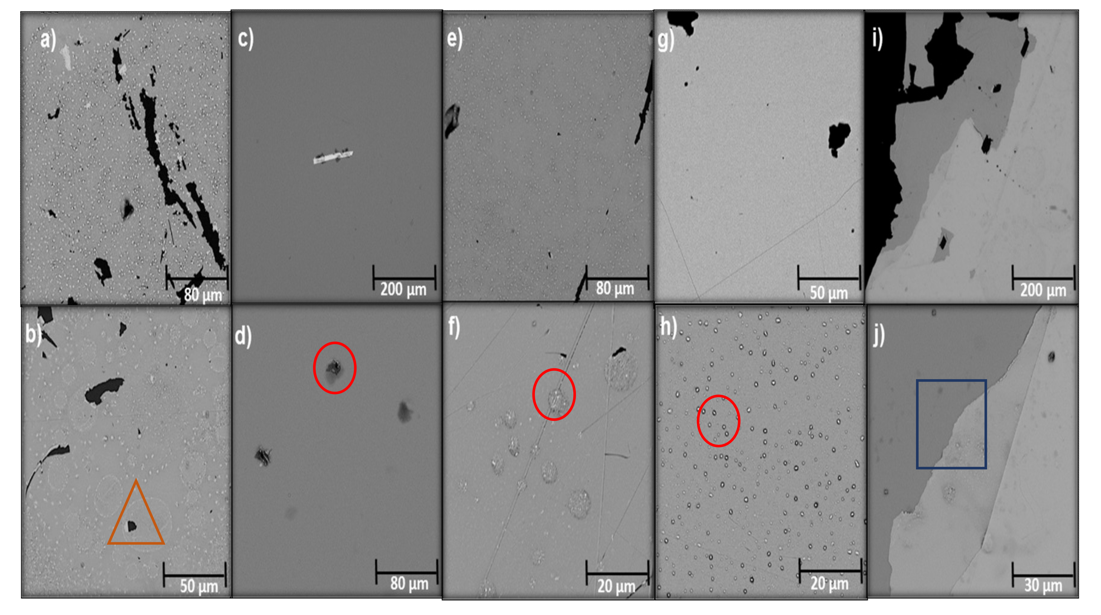 Molecules 26 04813 g001