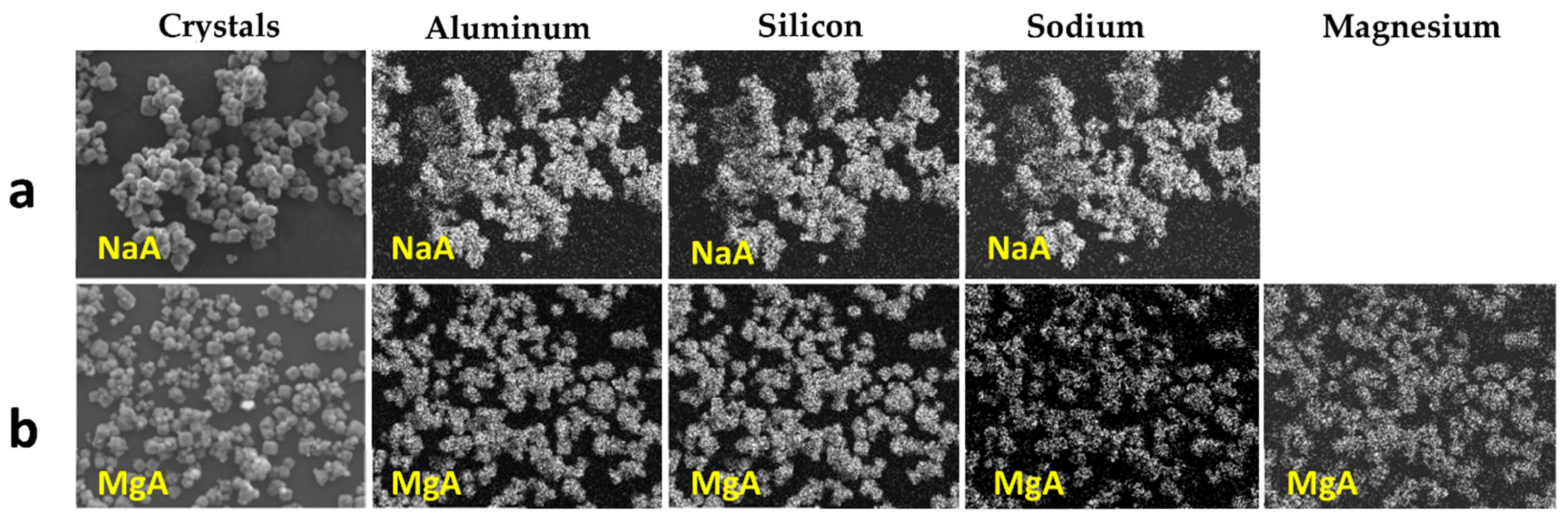 Molecules 26 04815 g001 Molecules 26 04815 g001