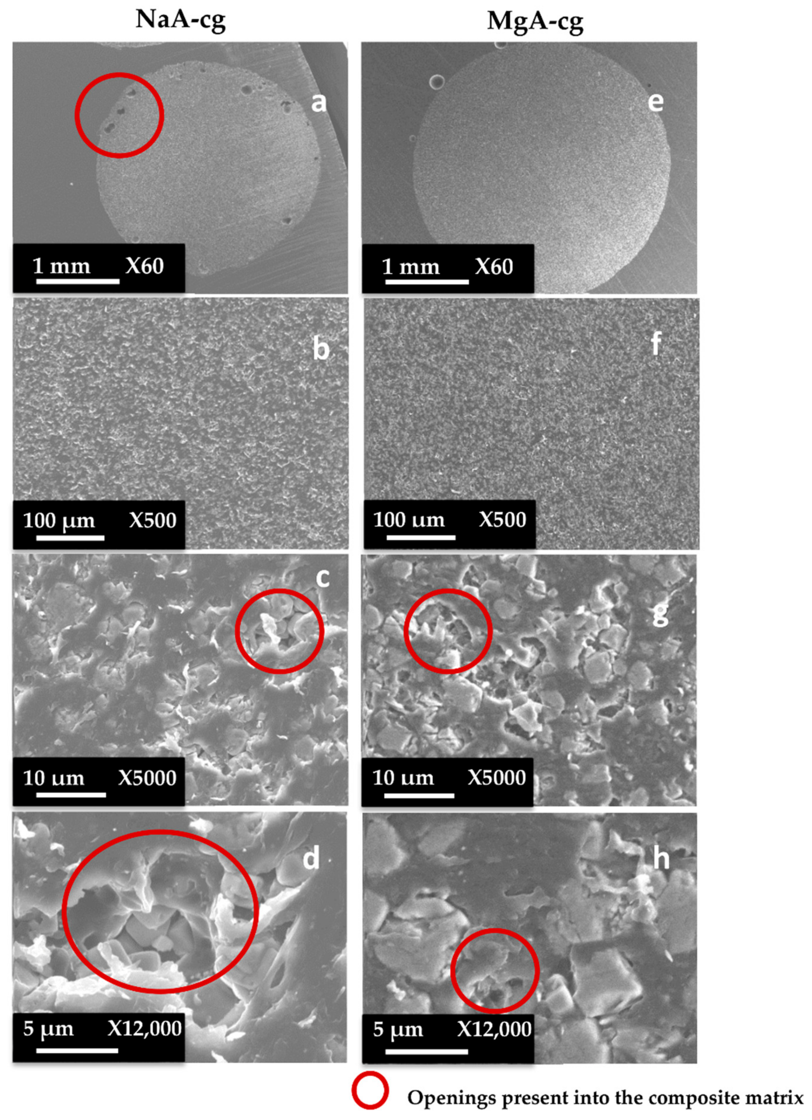 Molecules 26 04815 g007 Molecules 26 04815 g007