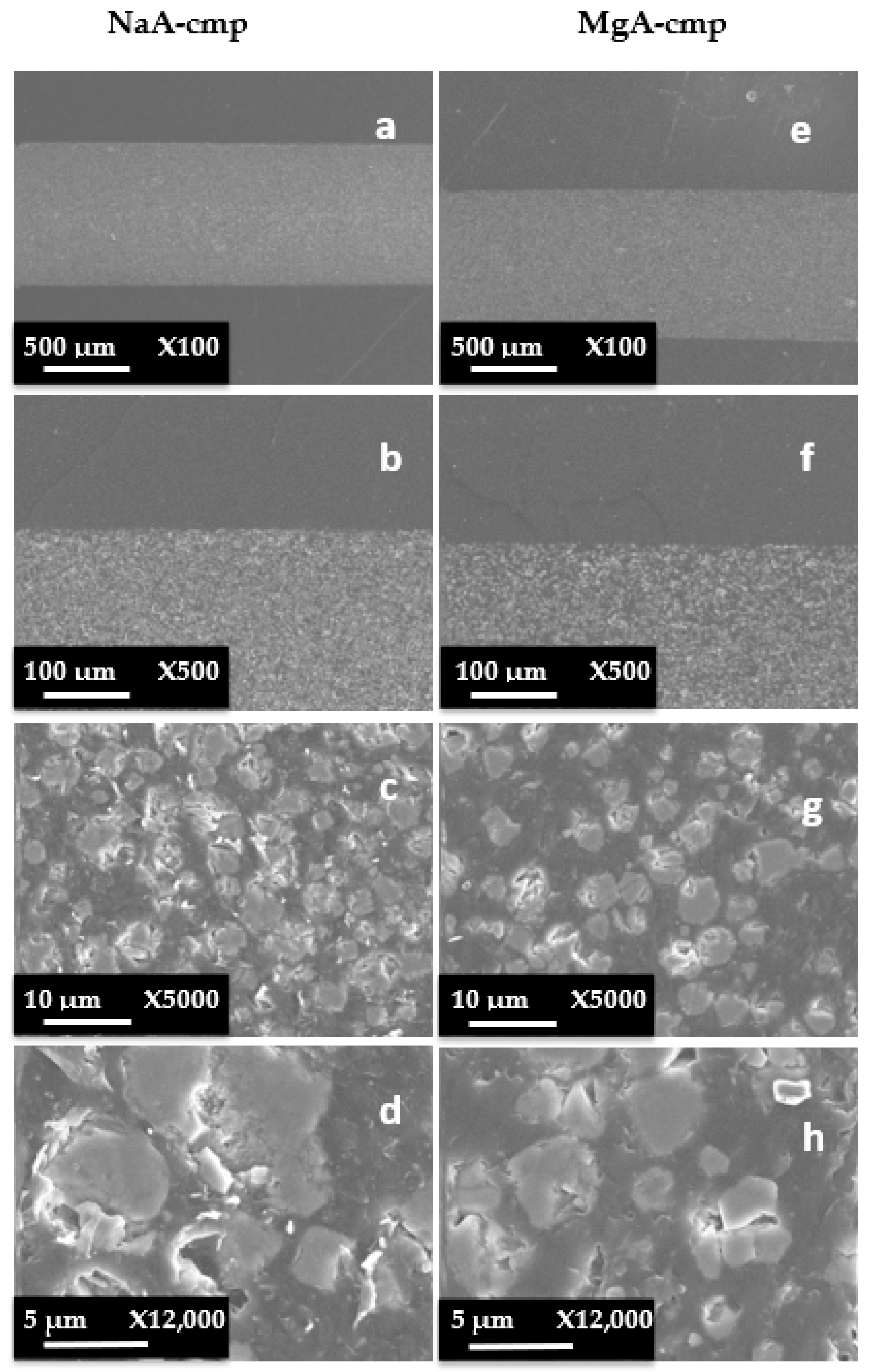 Molecules 26 04815 g0a3 Molecules 26 04815 g0a3