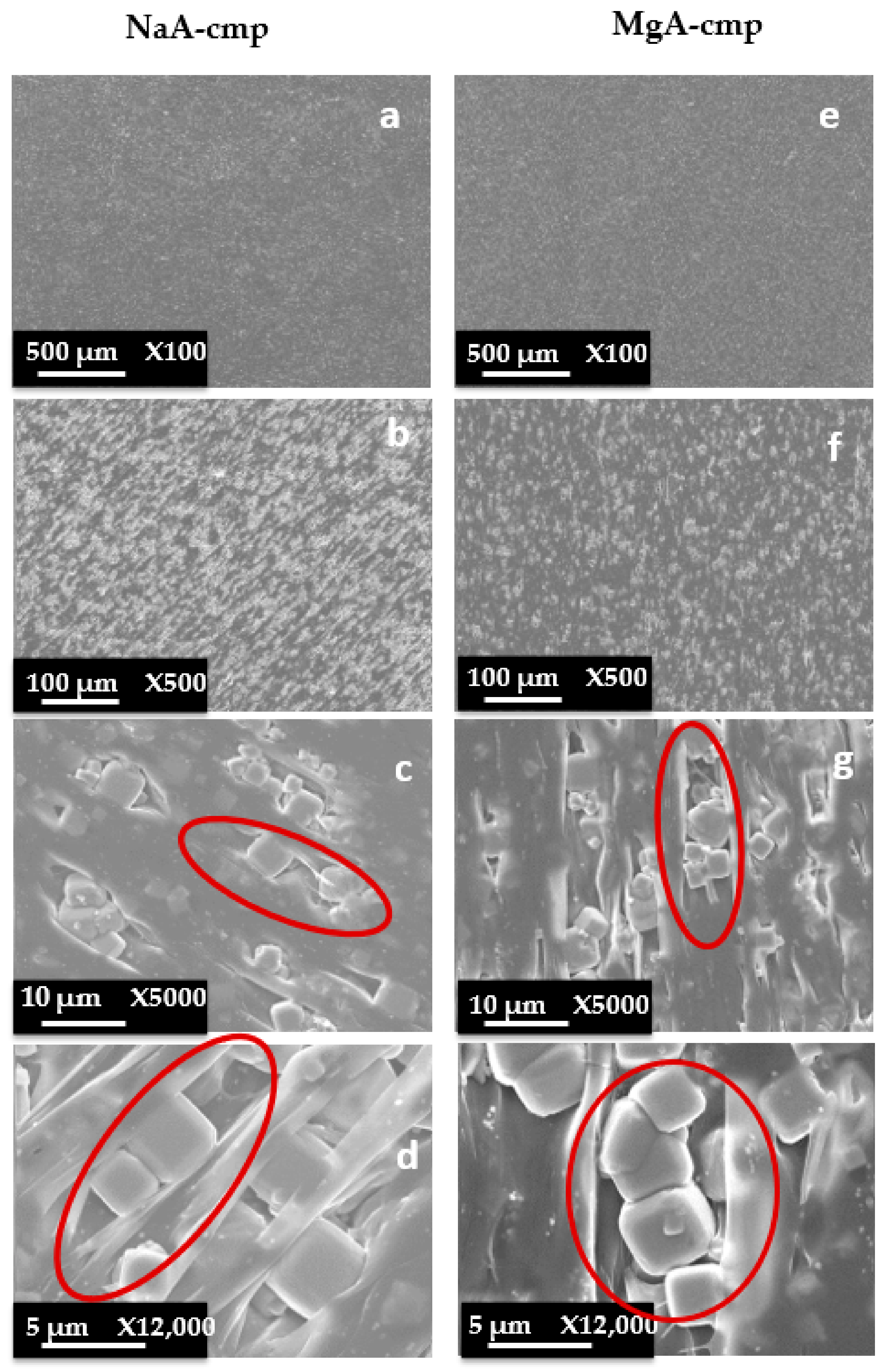 Molecules 26 04815 g0a4 Molecules 26 04815 g0a4