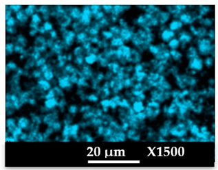 Molecules 26 04815 i014 Molecules 26 04815 i014