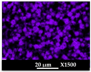 Molecules 26 04815 i015 Molecules 26 04815 i015