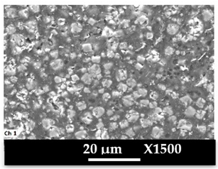 Molecules 26 04815 i016 Molecules 26 04815 i016