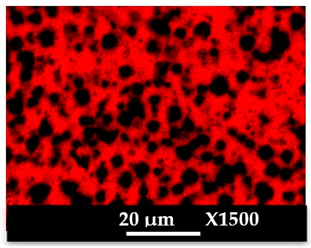 Molecules 26 04815 i018 Molecules 26 04815 i018