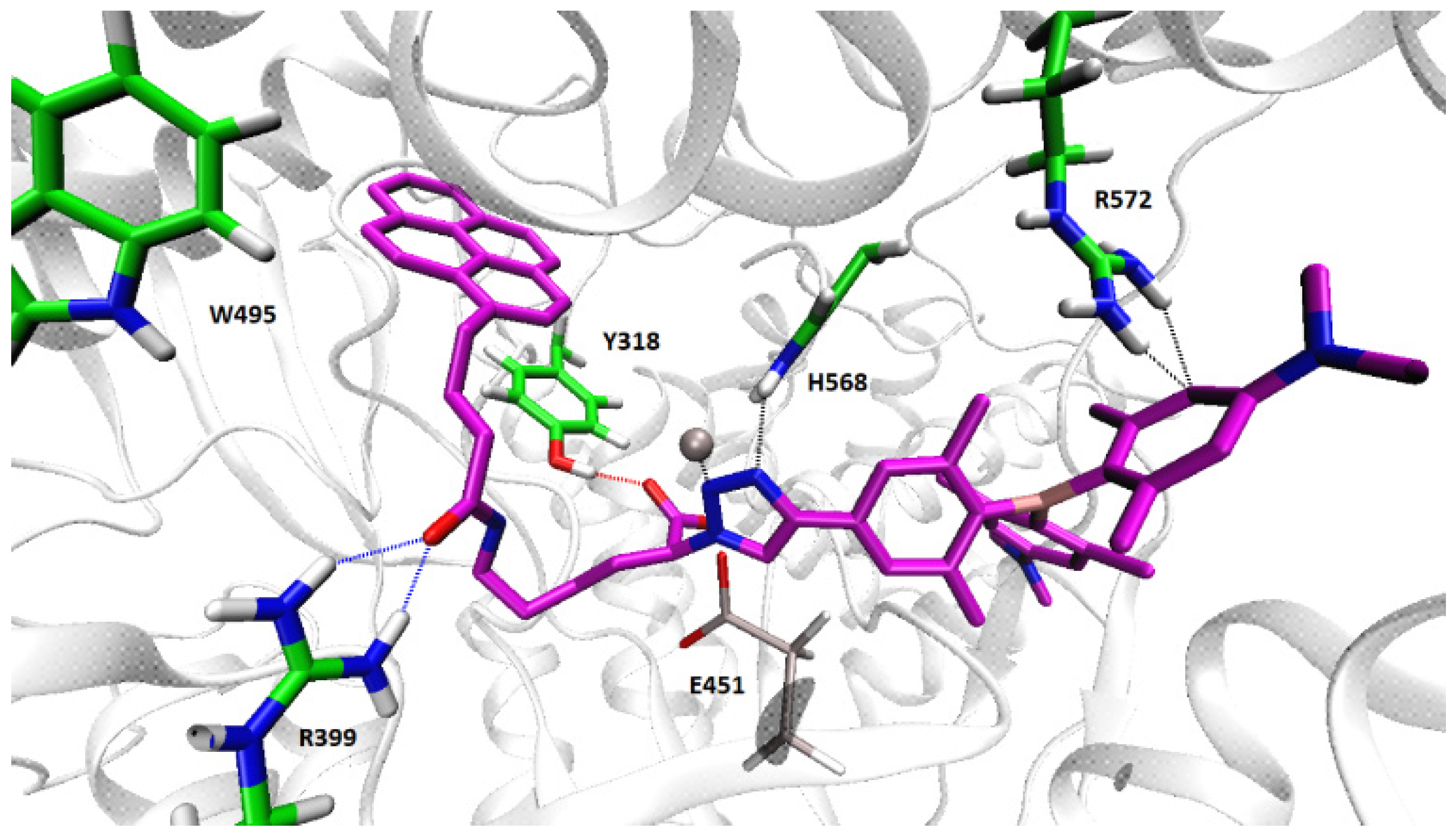 Molecules 26 04816 g010 Molecules 26 04816 g010
