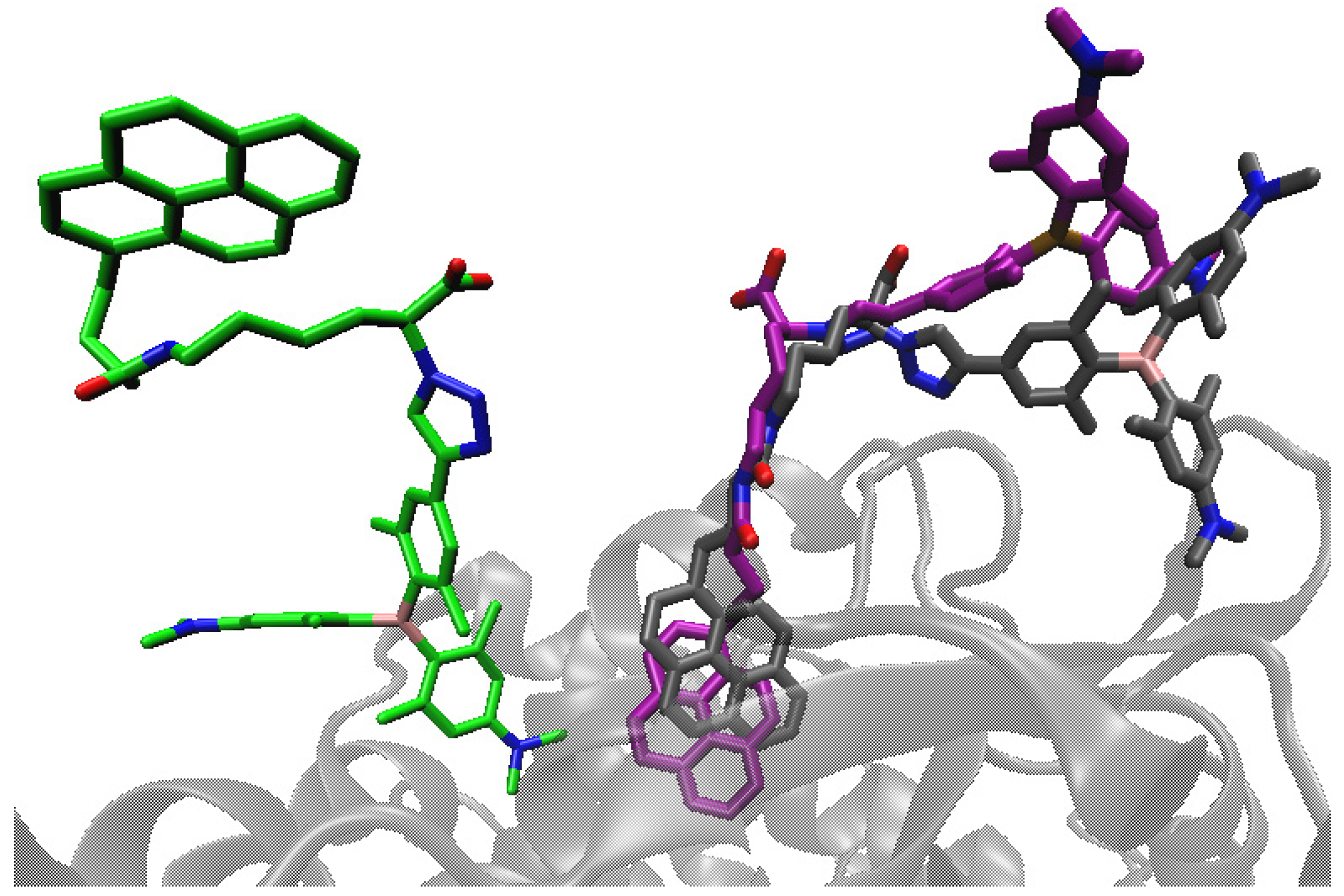 Molecules 26 04816 g011 Molecules 26 04816 g011