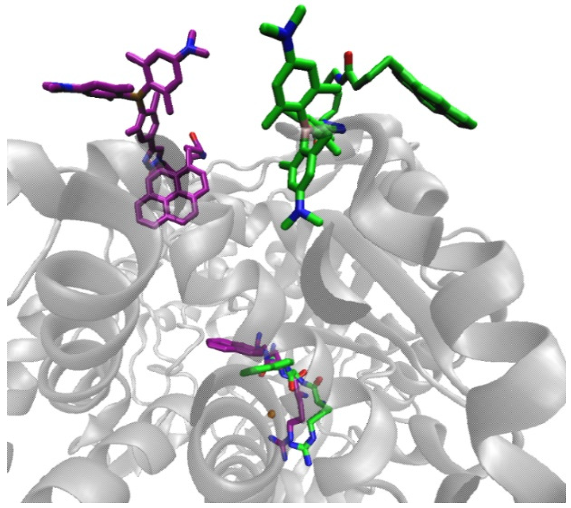 Molecules 26 04816 g012 Molecules 26 04816 g012