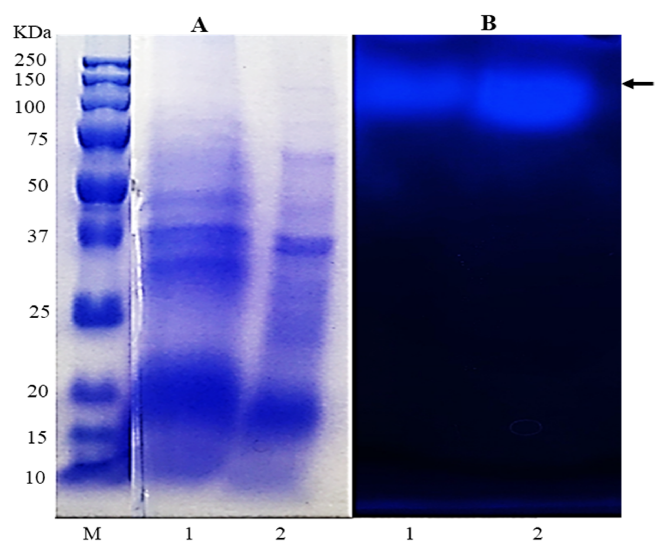 Molecules 26 04820 g001