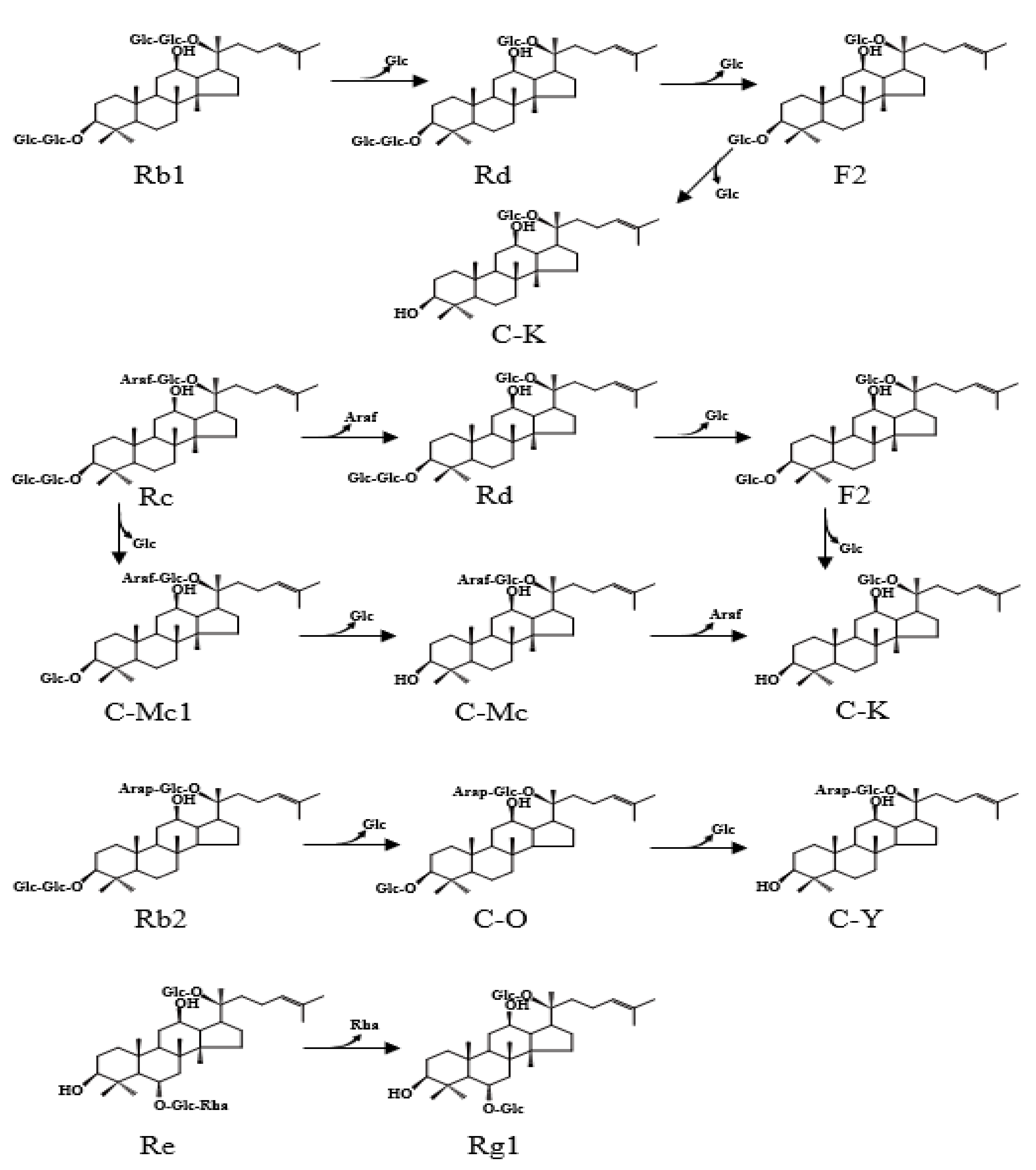 Molecules 26 04820 g007