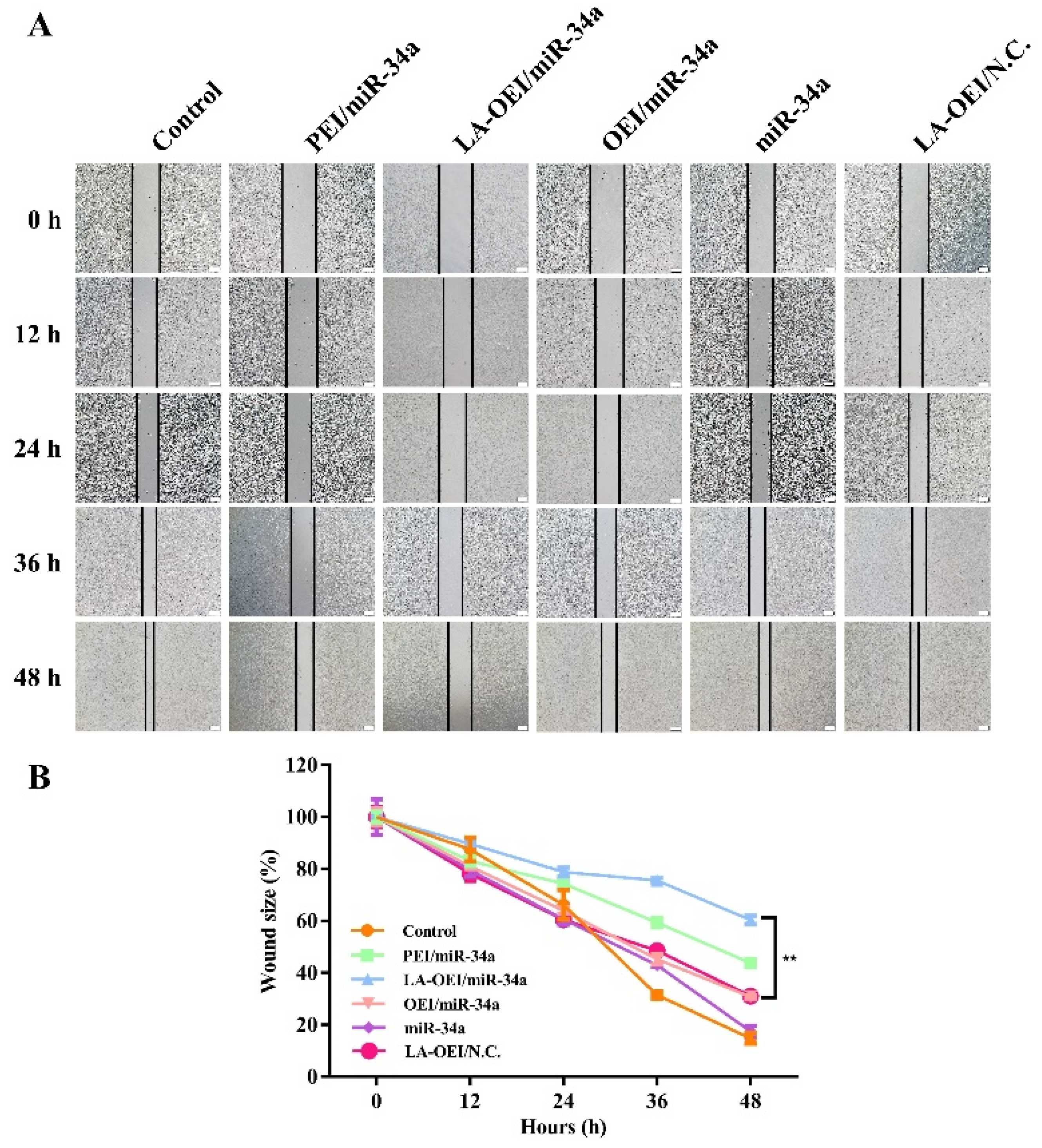 Molecules 26 04827 g008
