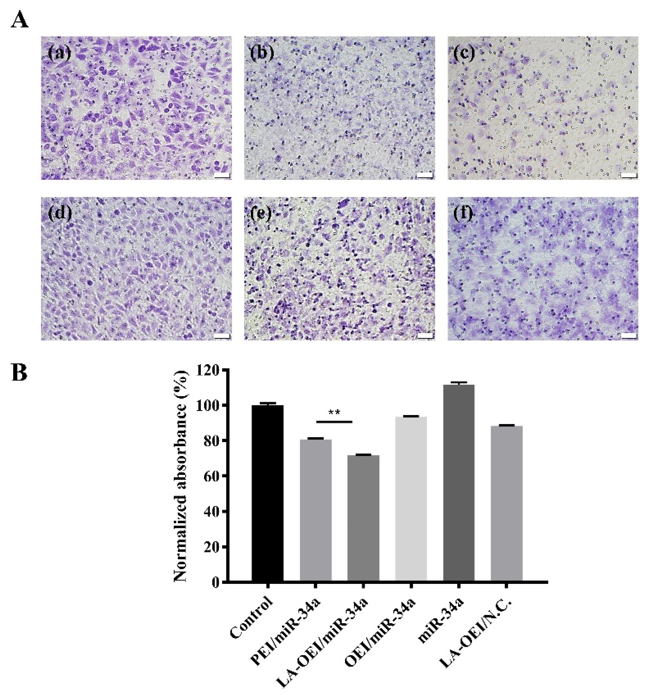 Molecules 26 04827 g009