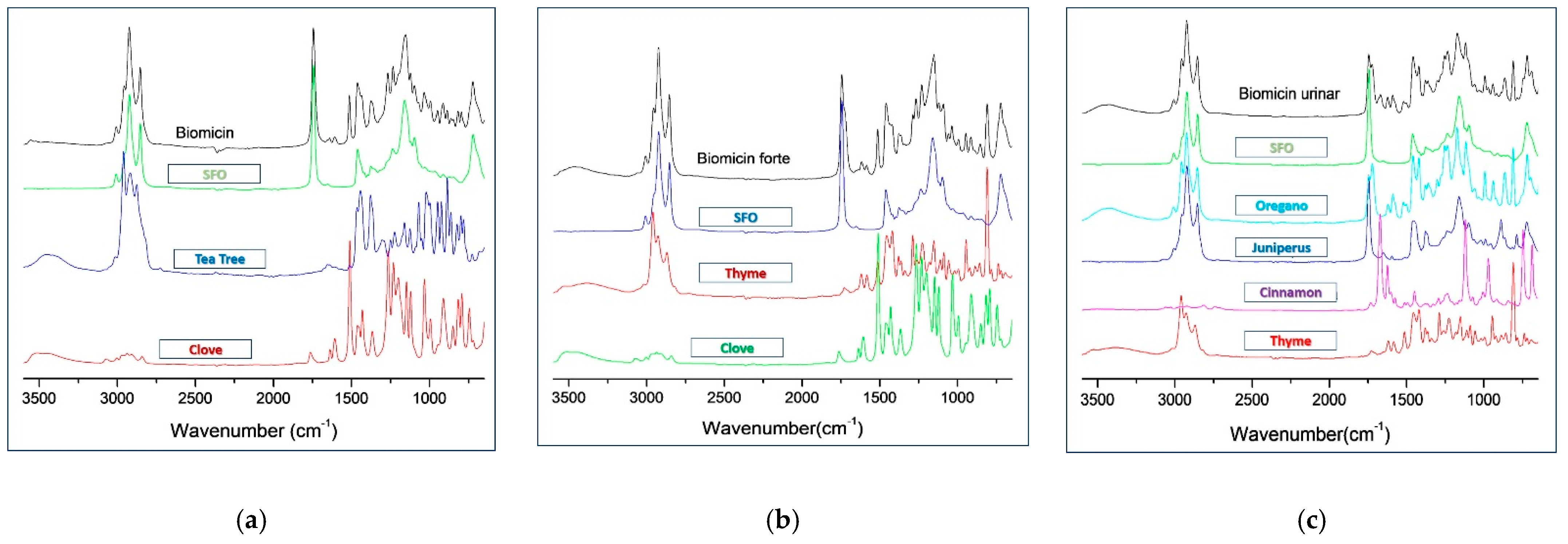 Molecules 26 04837 g001