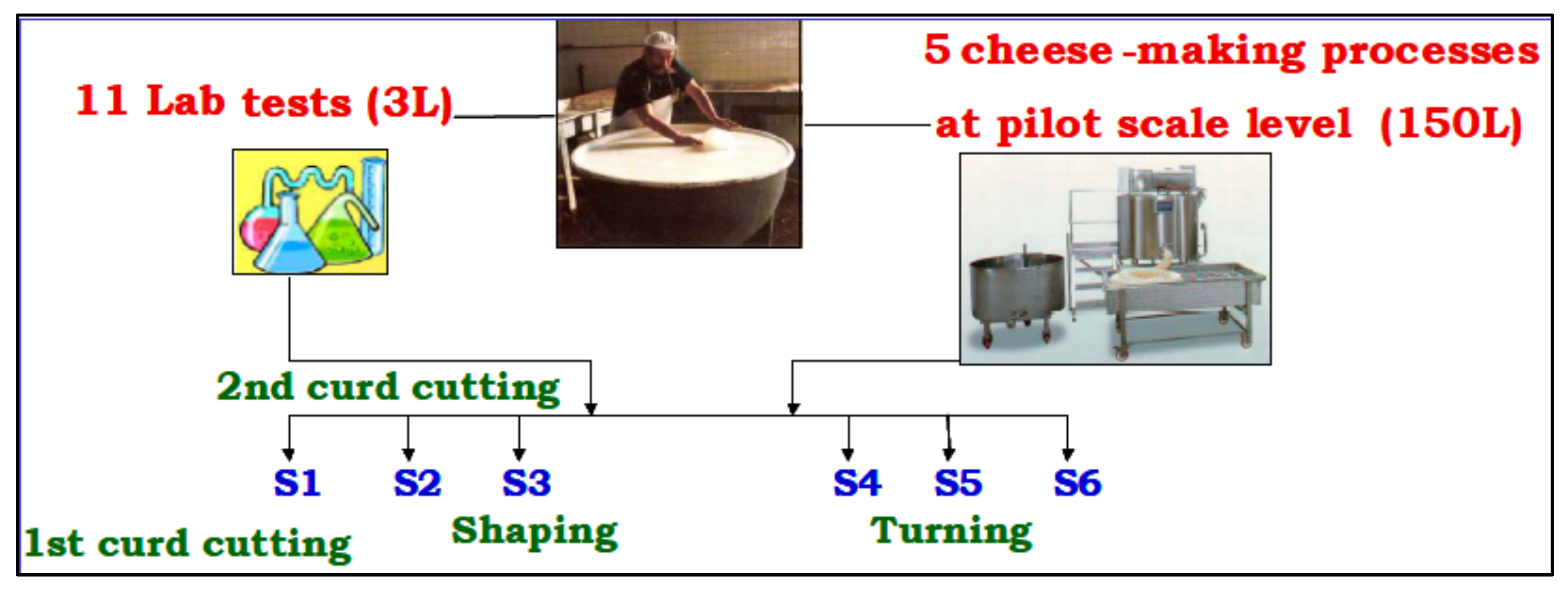 Molecules 26 04839 g005