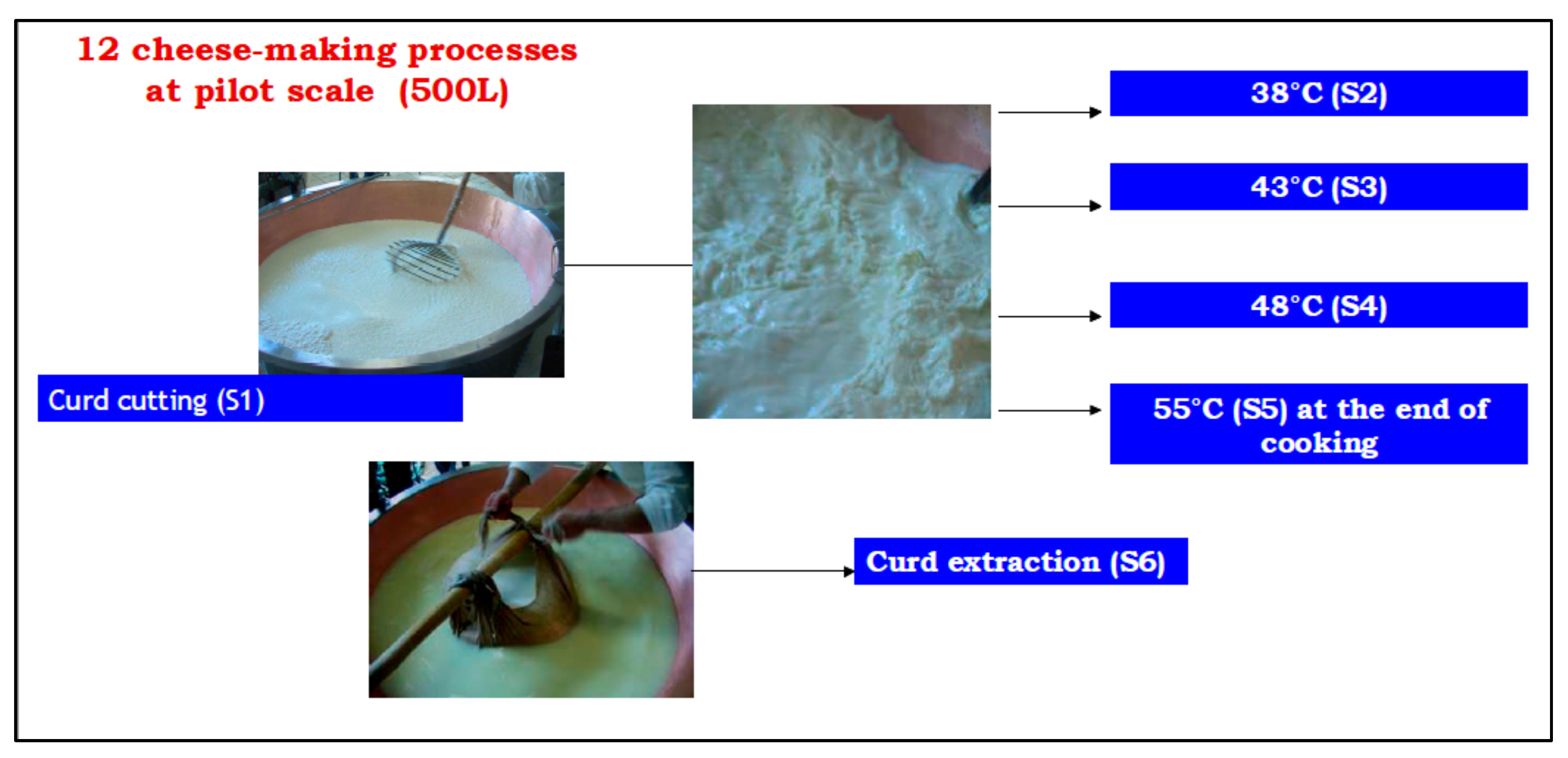 Molecules 26 04839 g006