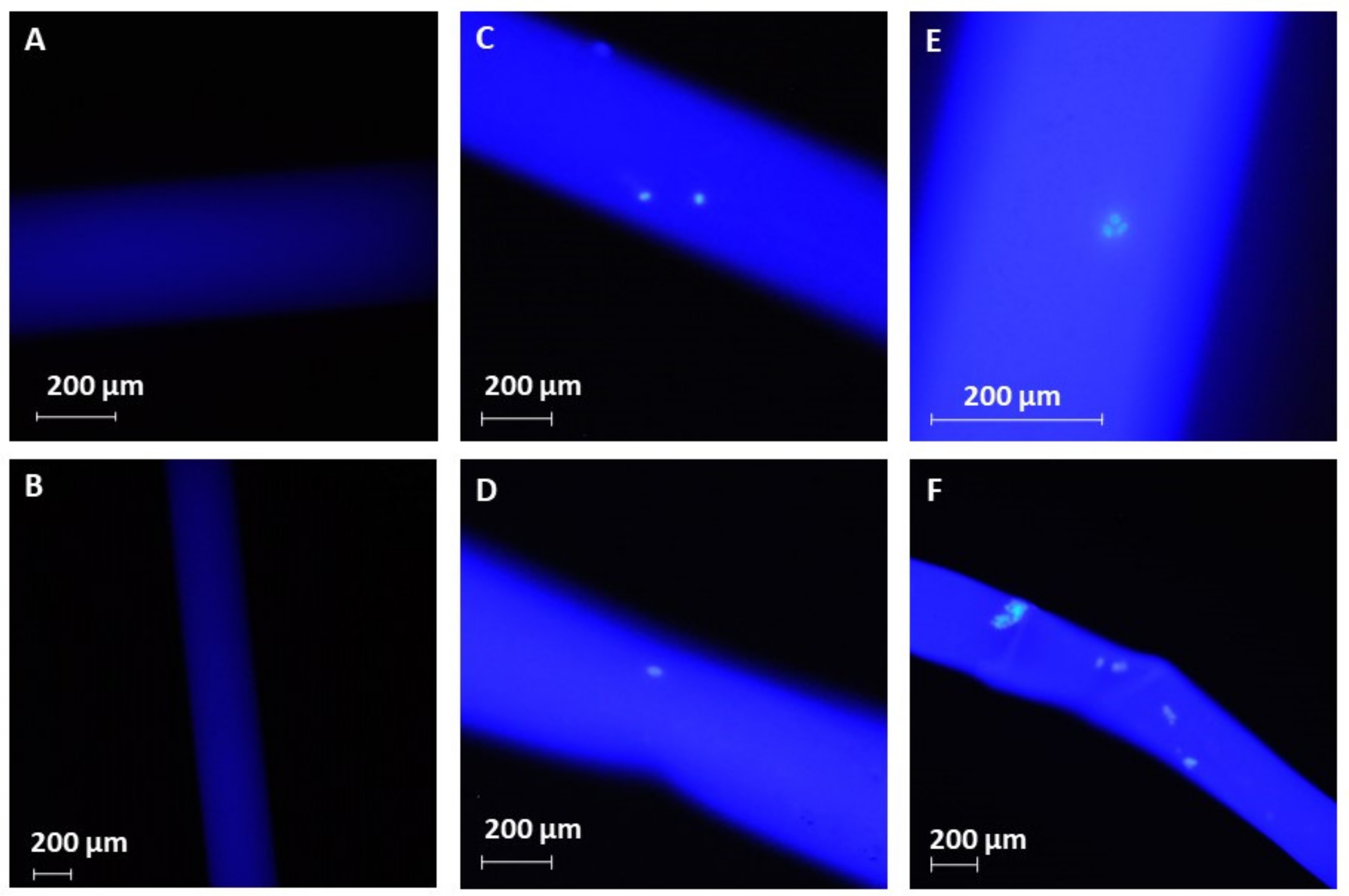 Molecules 26 04845 g002 Molecules 26 04845 g002