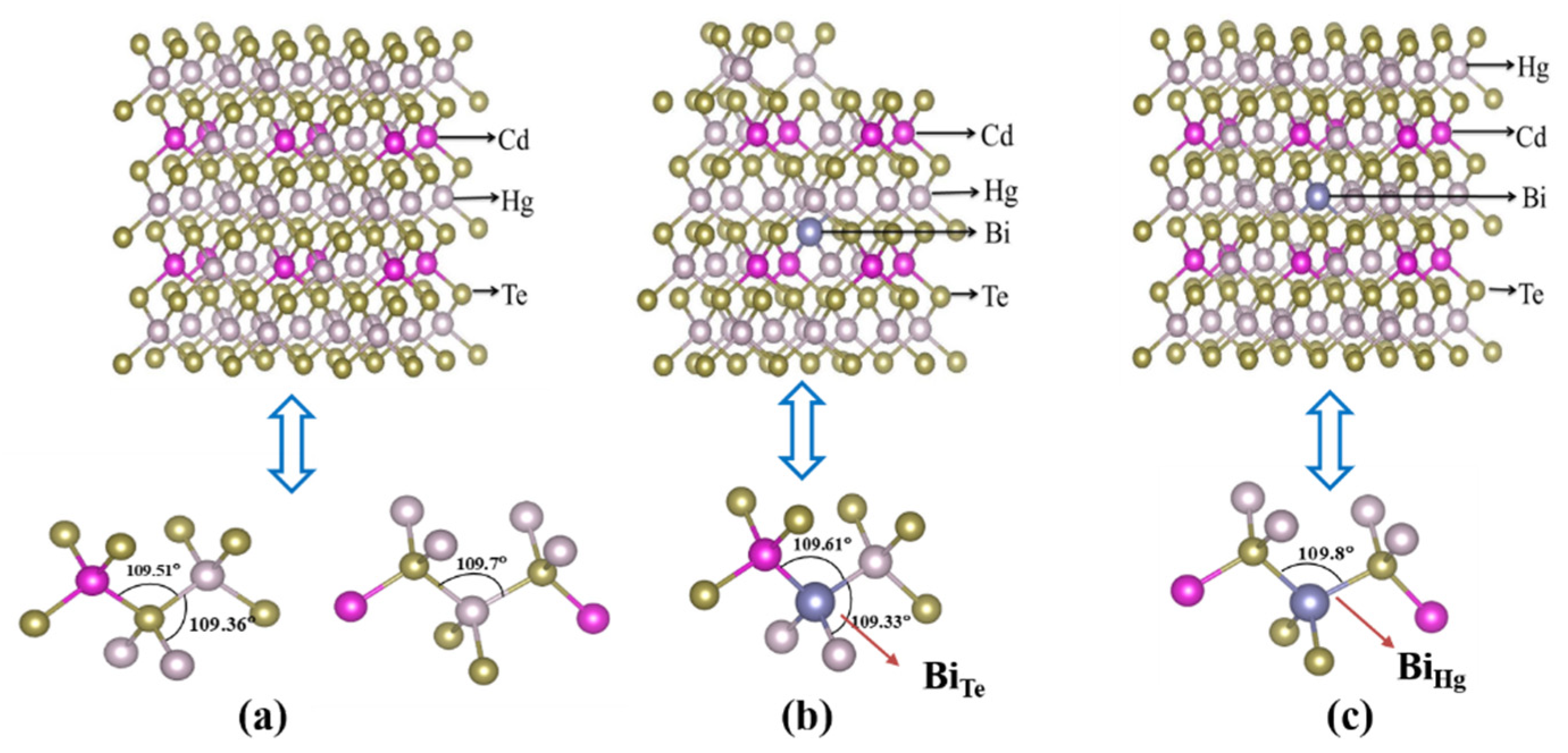Molecules 26 04847 g001