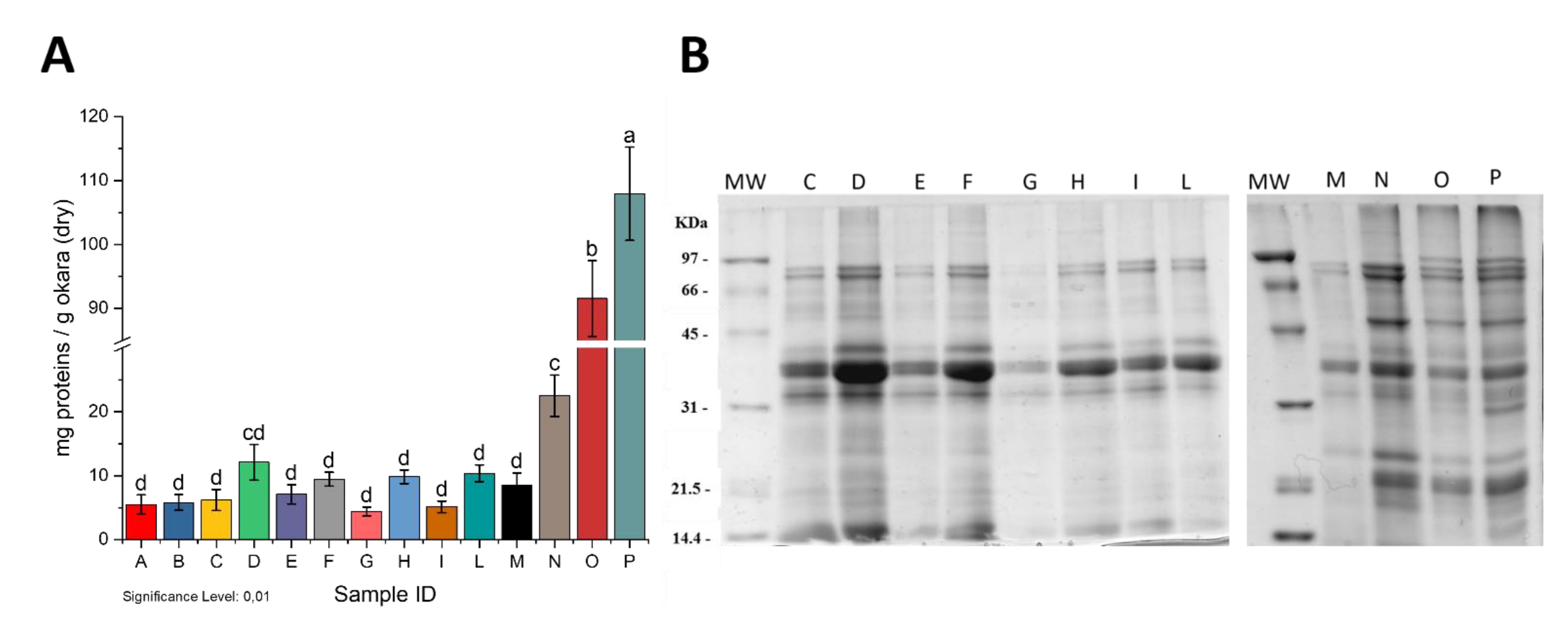 Molecules 26 04858 g001