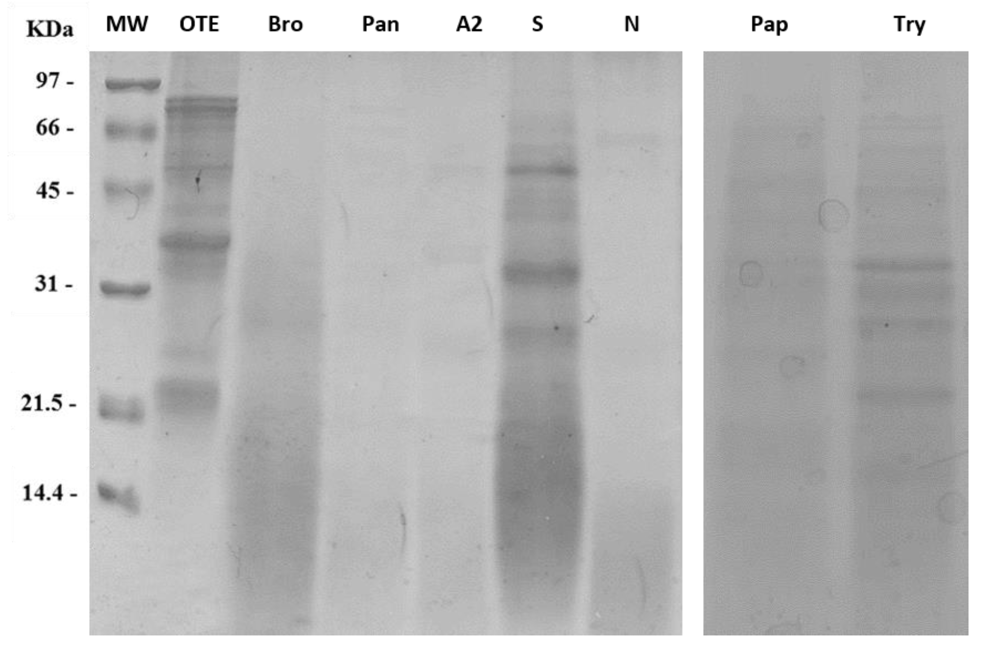 Molecules 26 04858 g002
