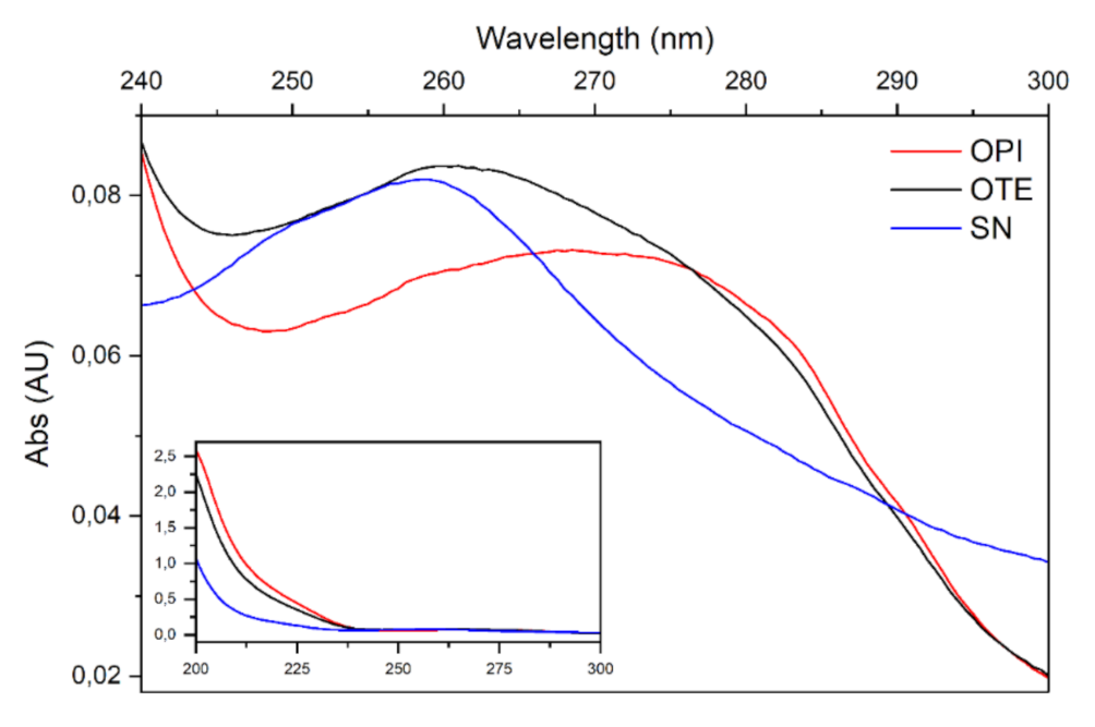 Molecules 26 04858 g004