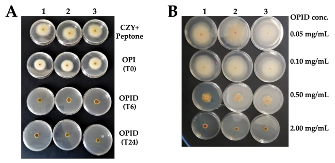 Molecules 26 04858 g006