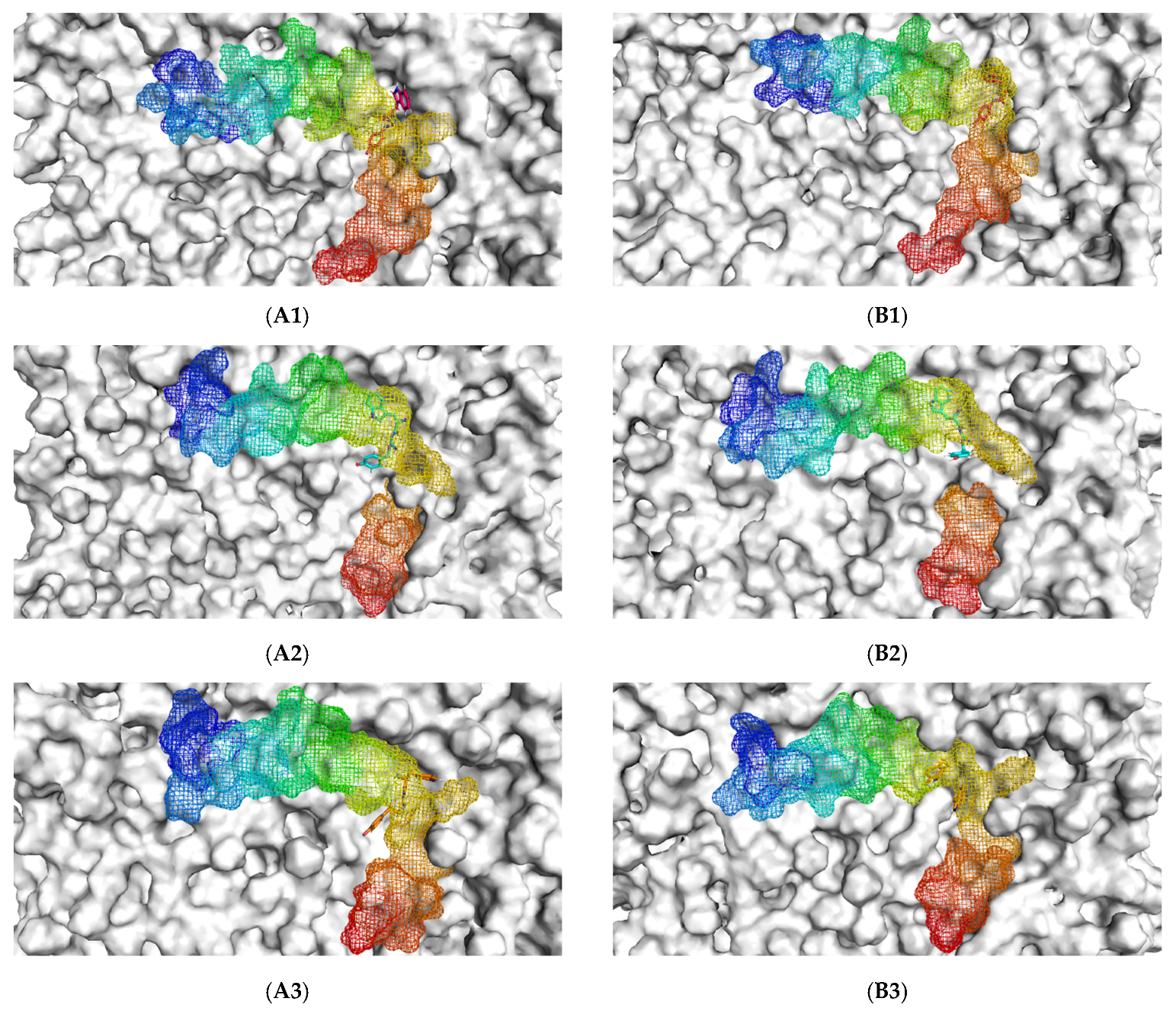 Molecules 26 04863 g001a