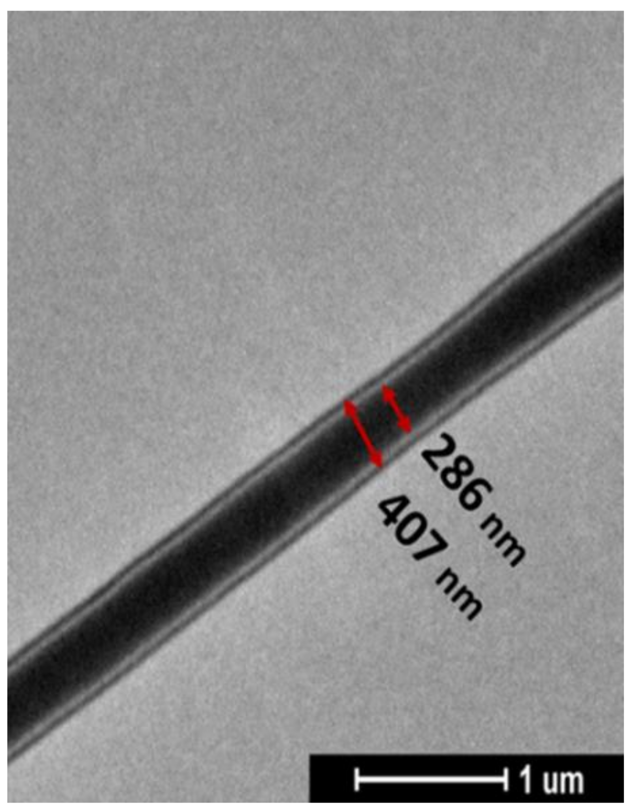 Molecules 26 04866 g002