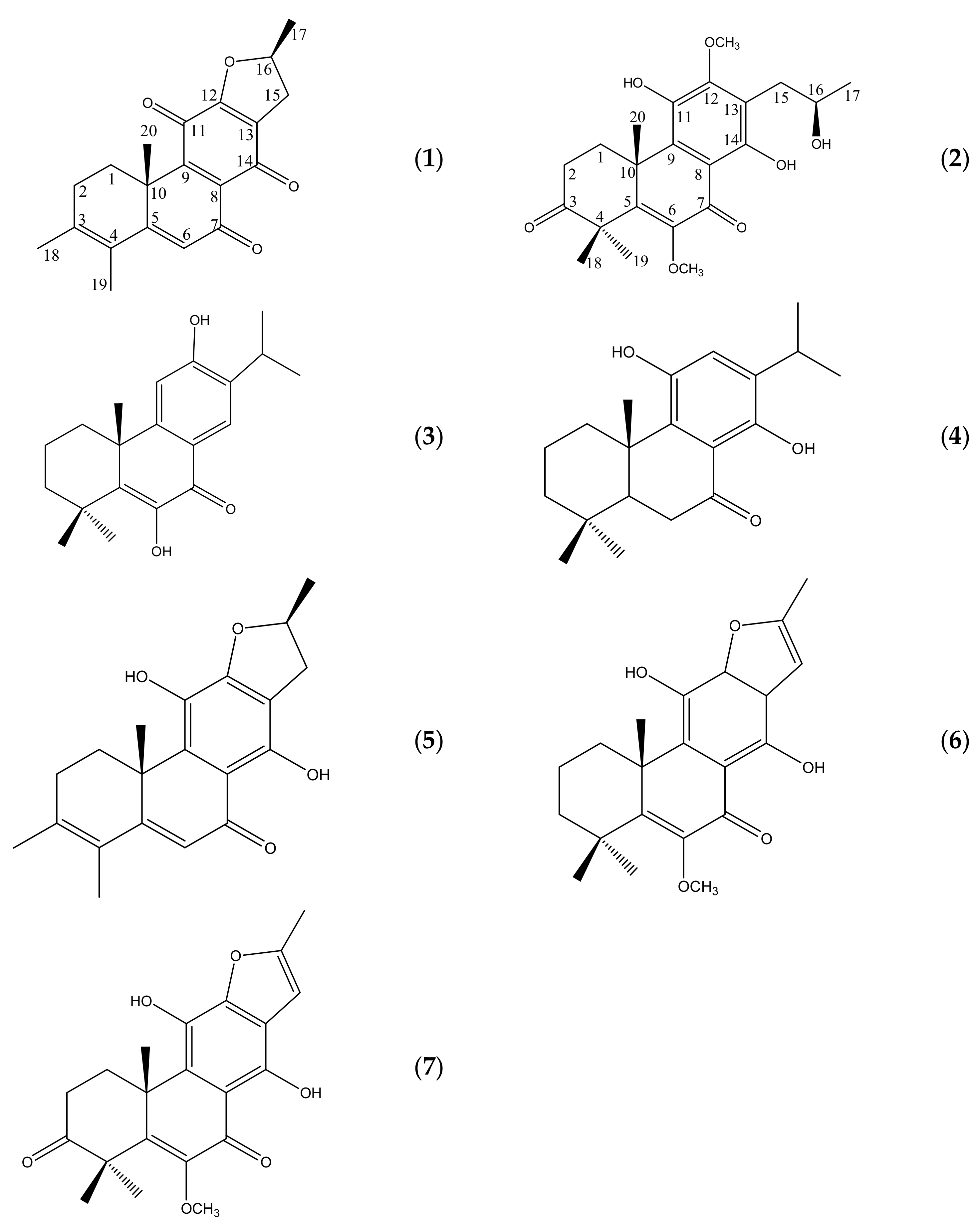 Molecules 26 04870 g001