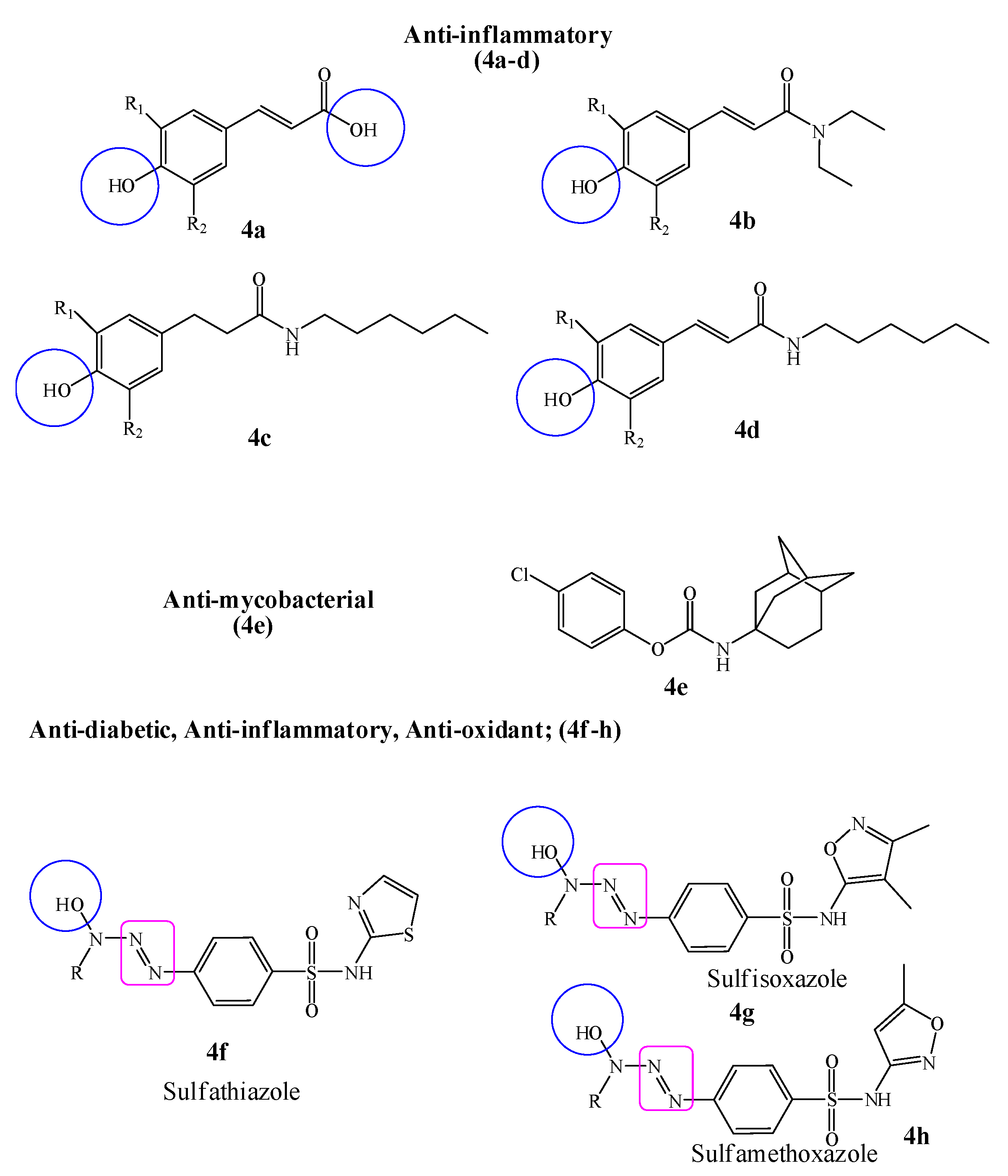 Molecules 26 04872 g004