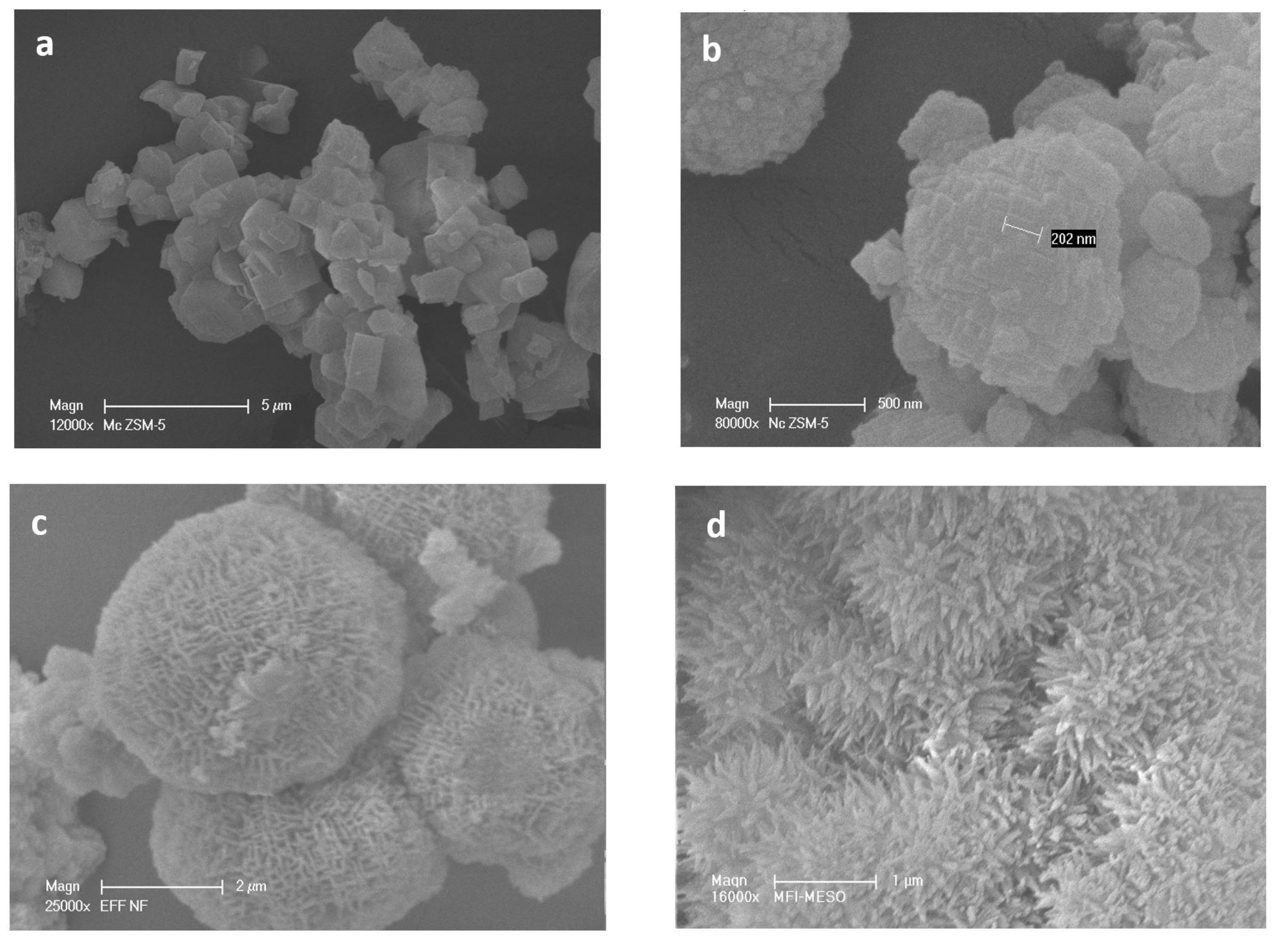 Molecules 26 04879 g002