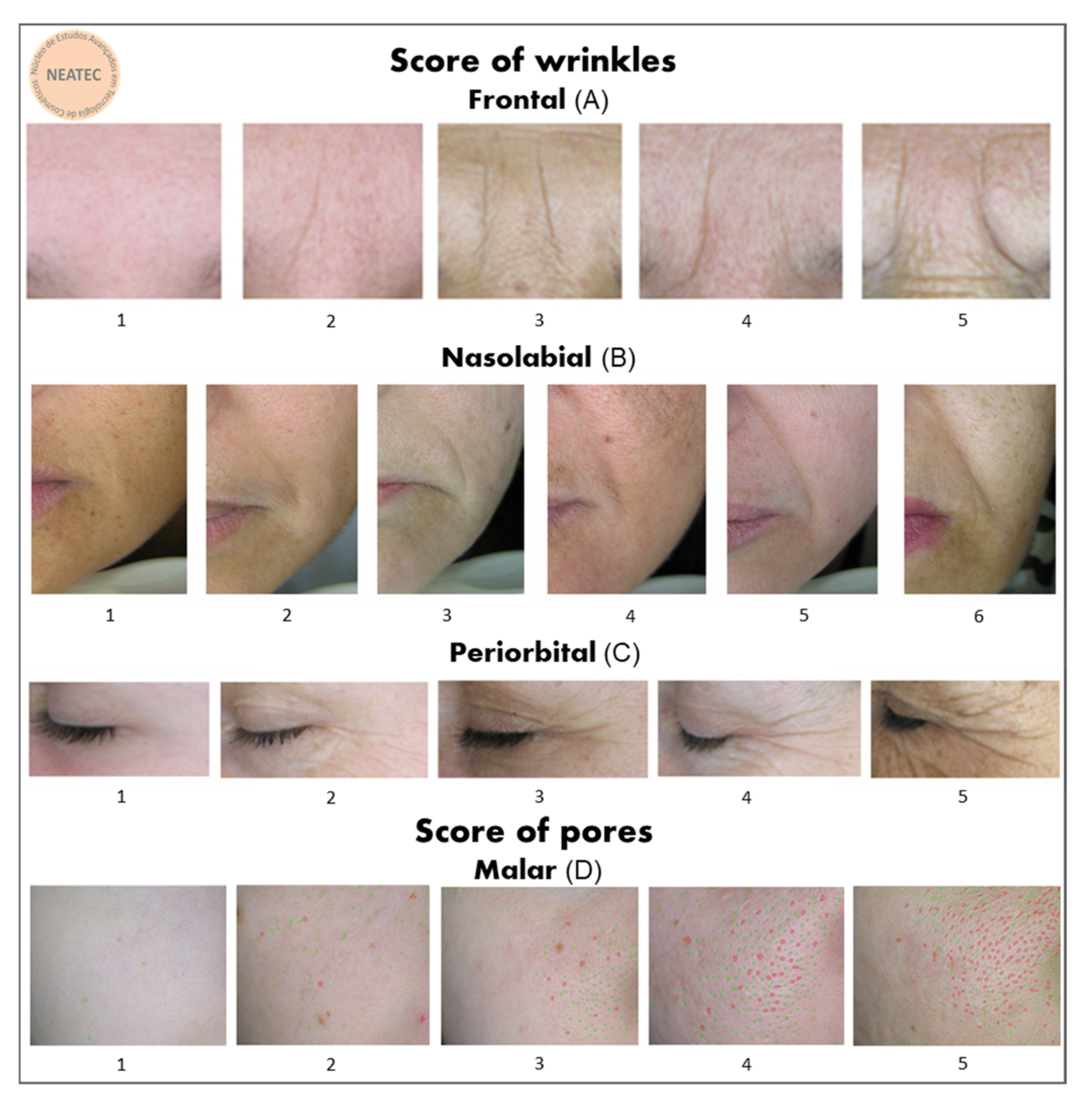 Molecules 26 04880 g011 Molecules 26 04880 g011