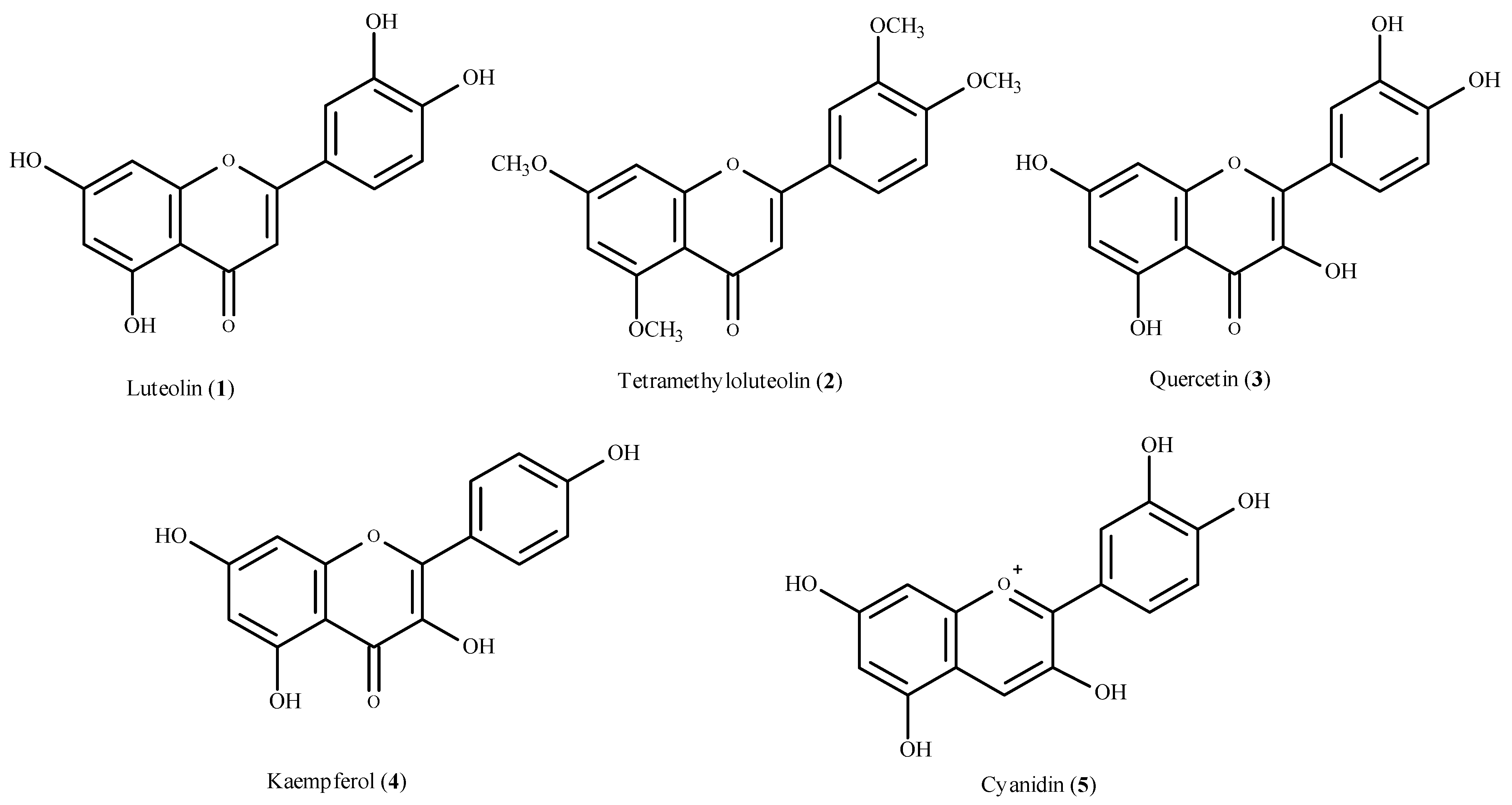 Molecules 26 04886 g001
