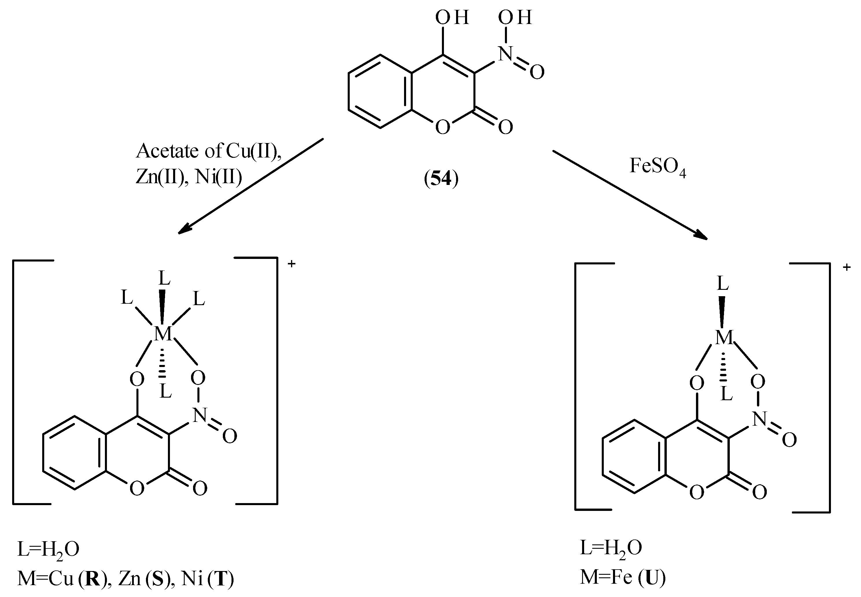 Molecules 26 04886 sch005