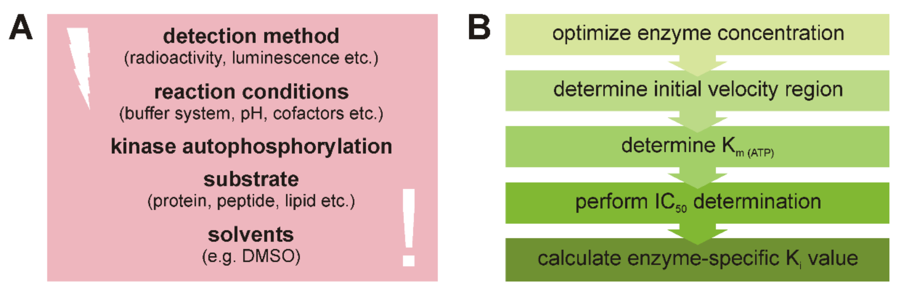 Molecules 26 04898 g002