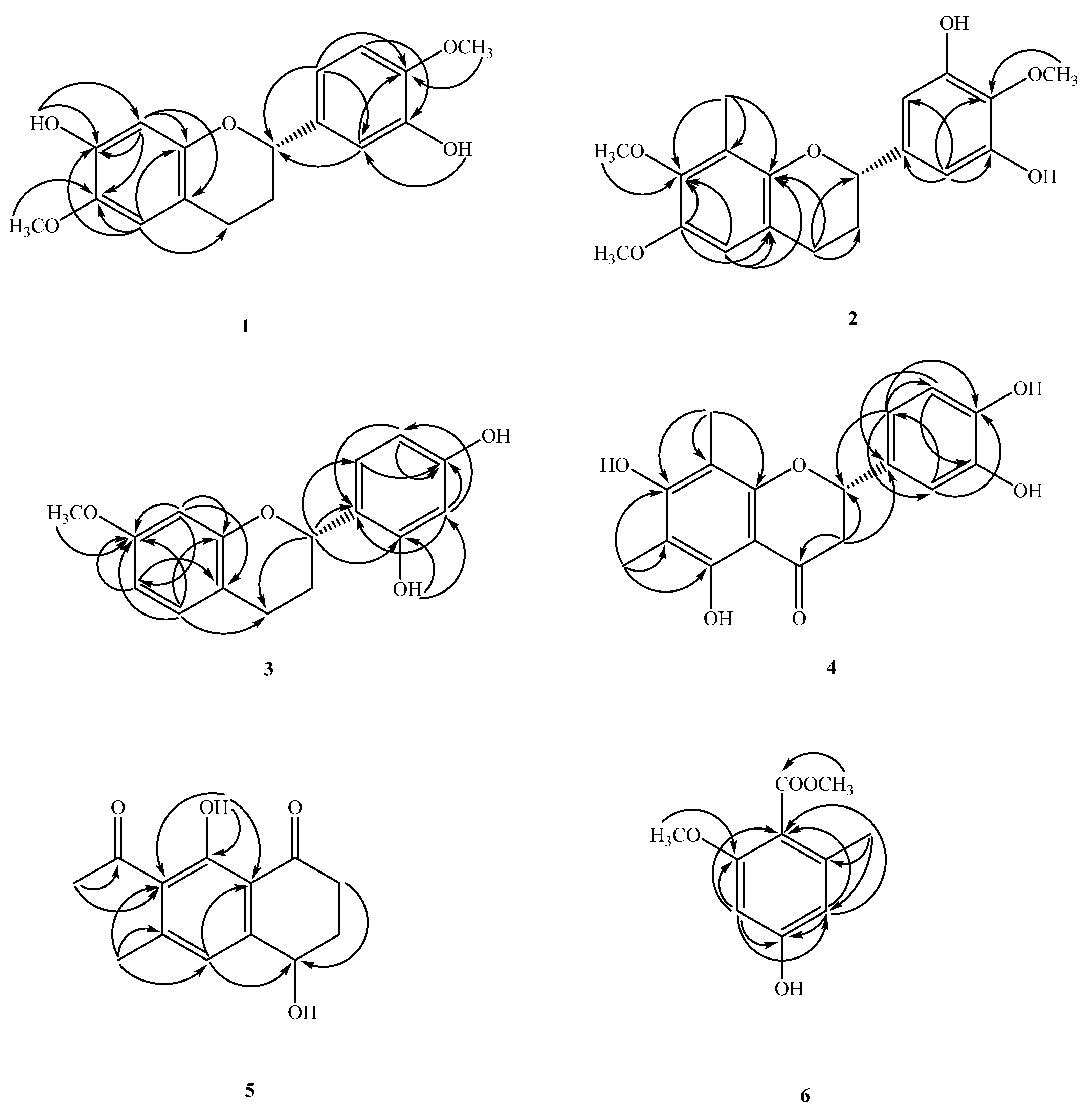Molecules 26 04909 g002